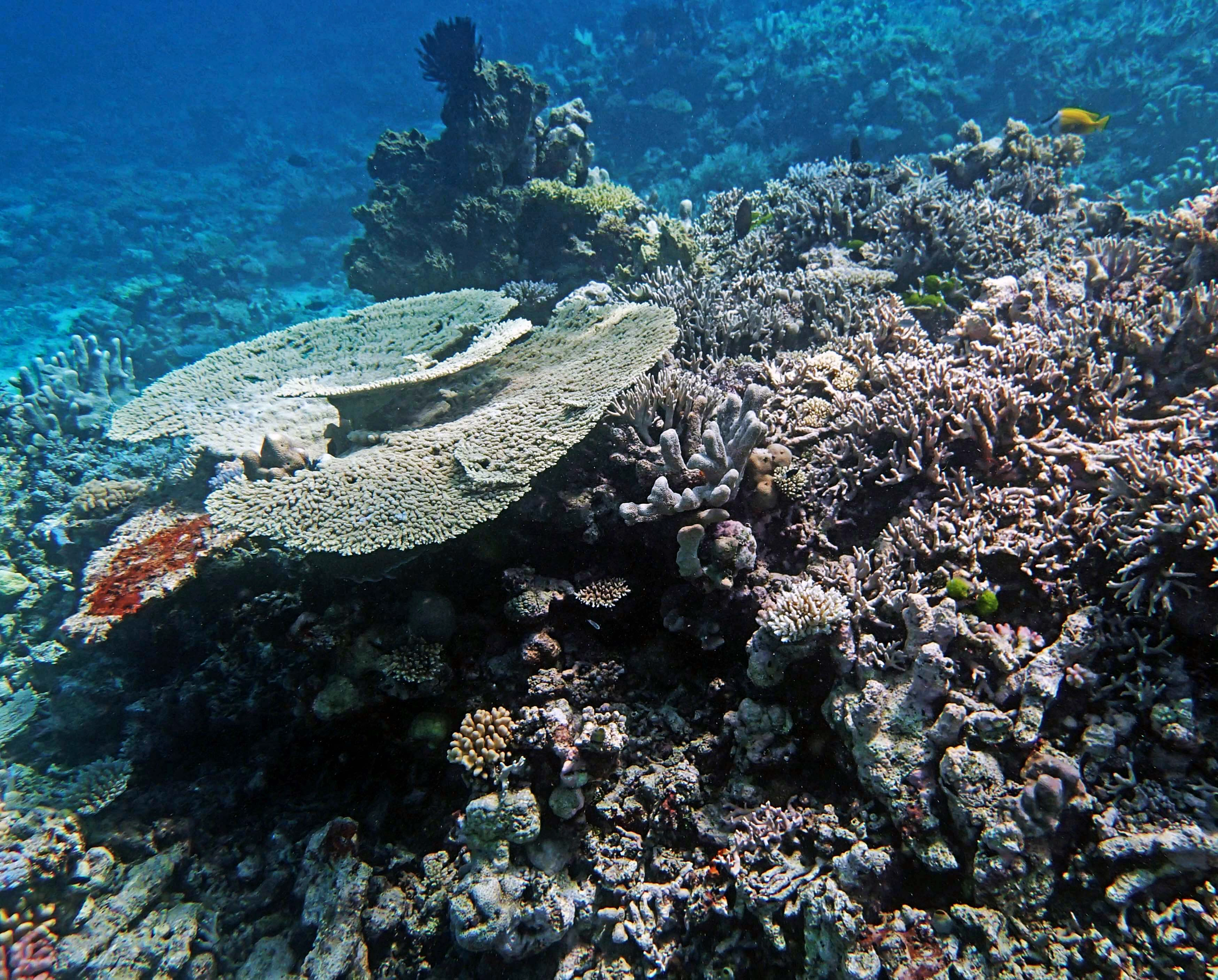P9280038.png