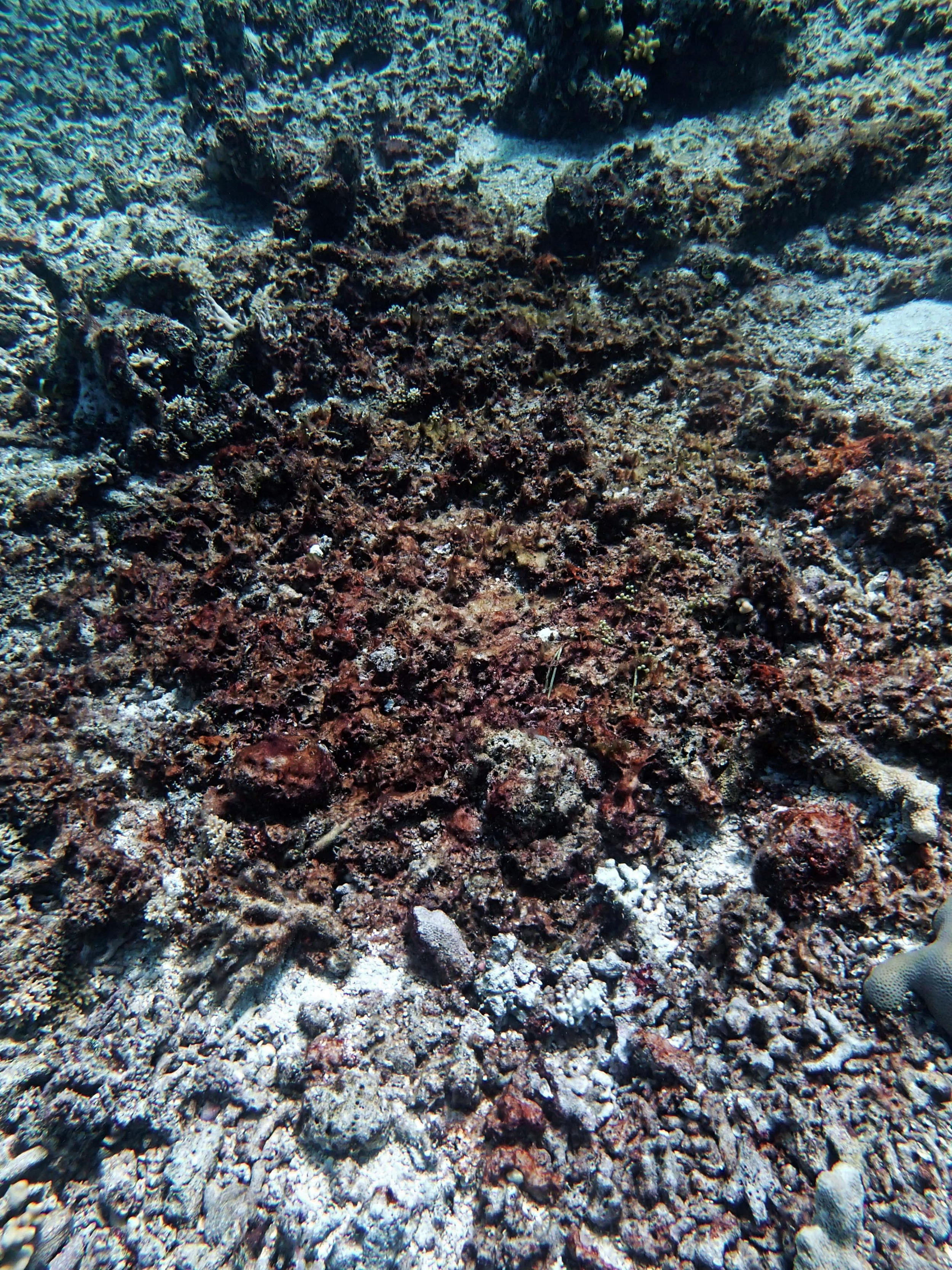P9280037.png
