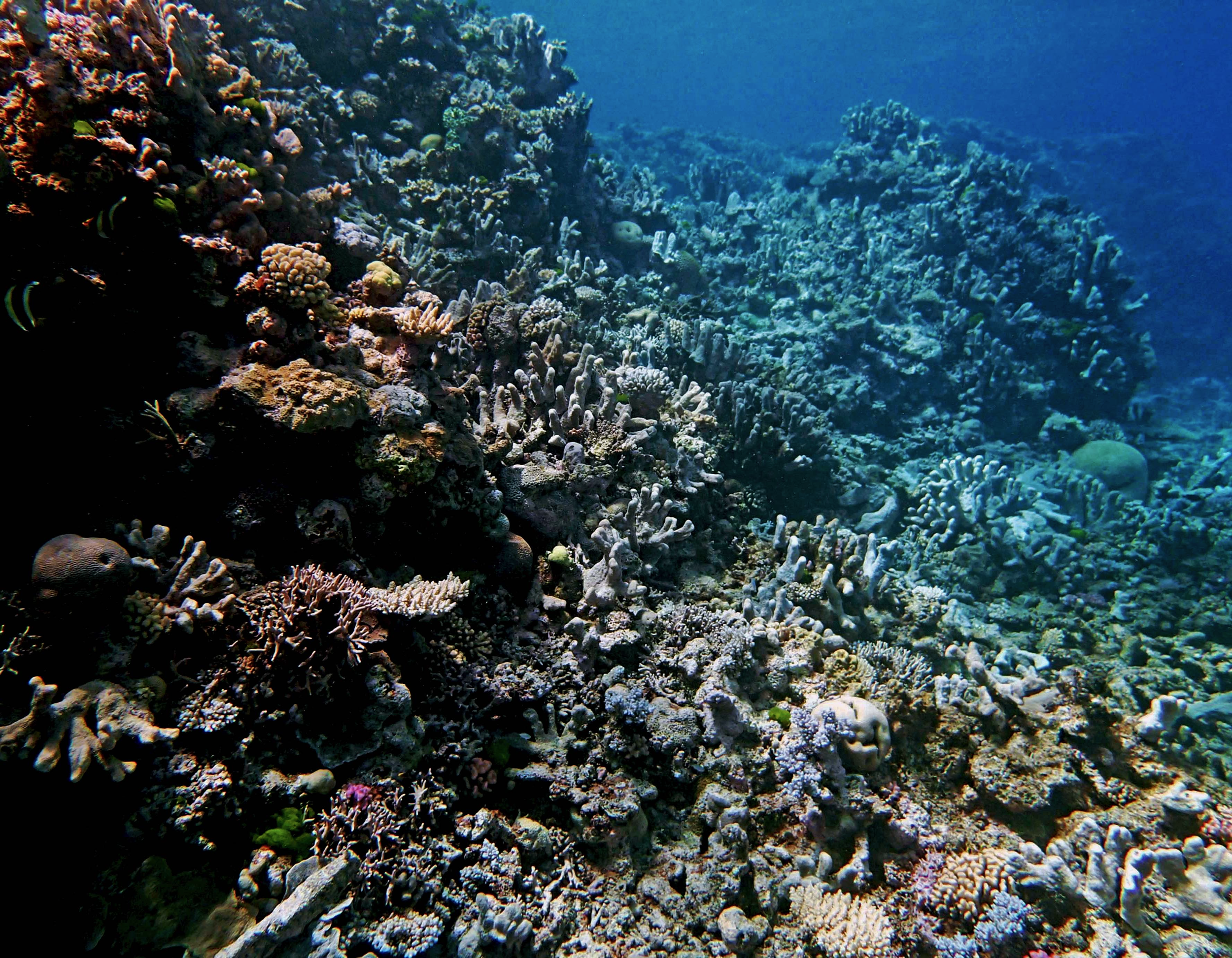 P9280039.png
