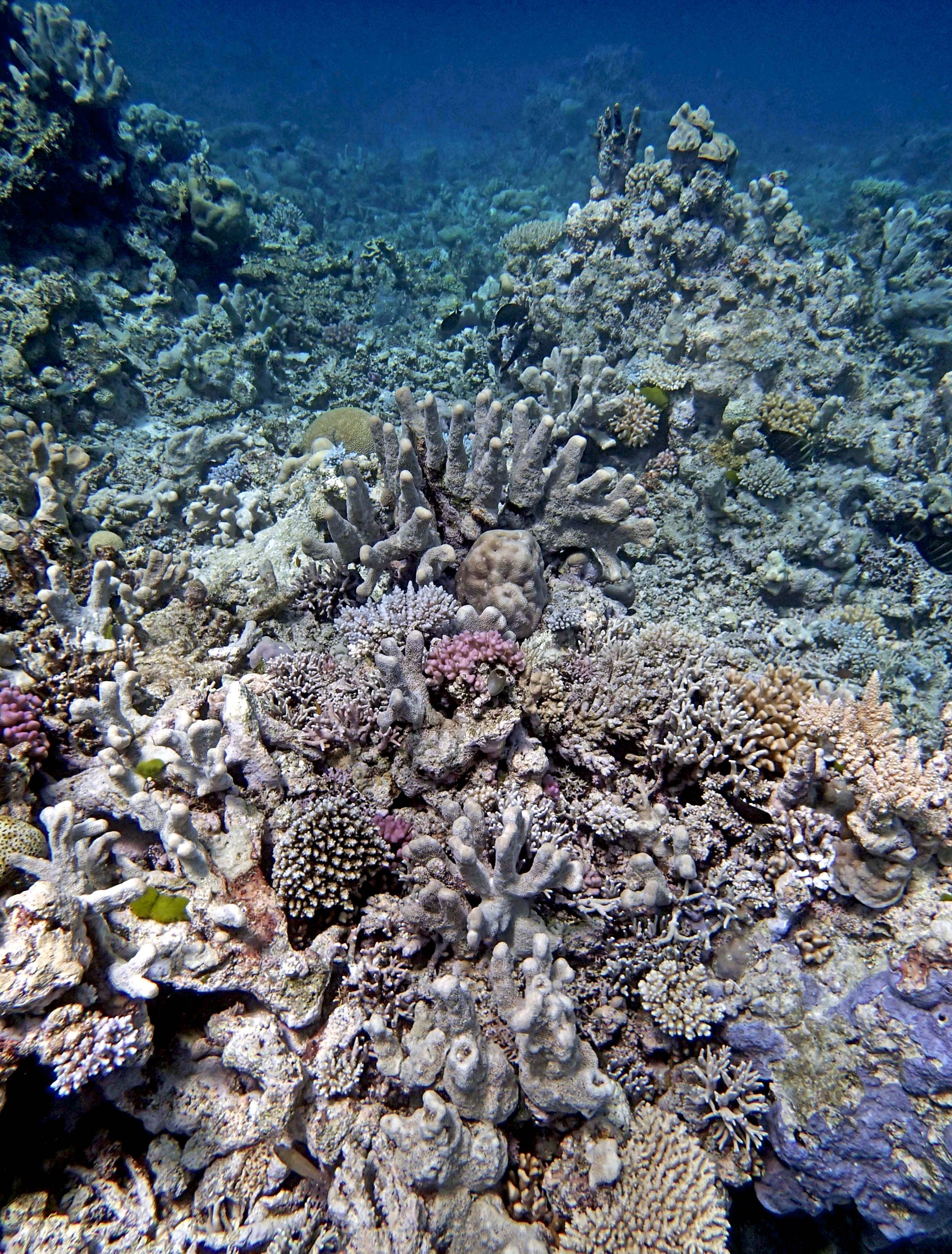 P9280040.png