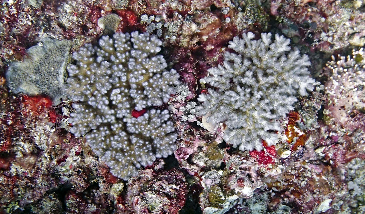 P9280053.png