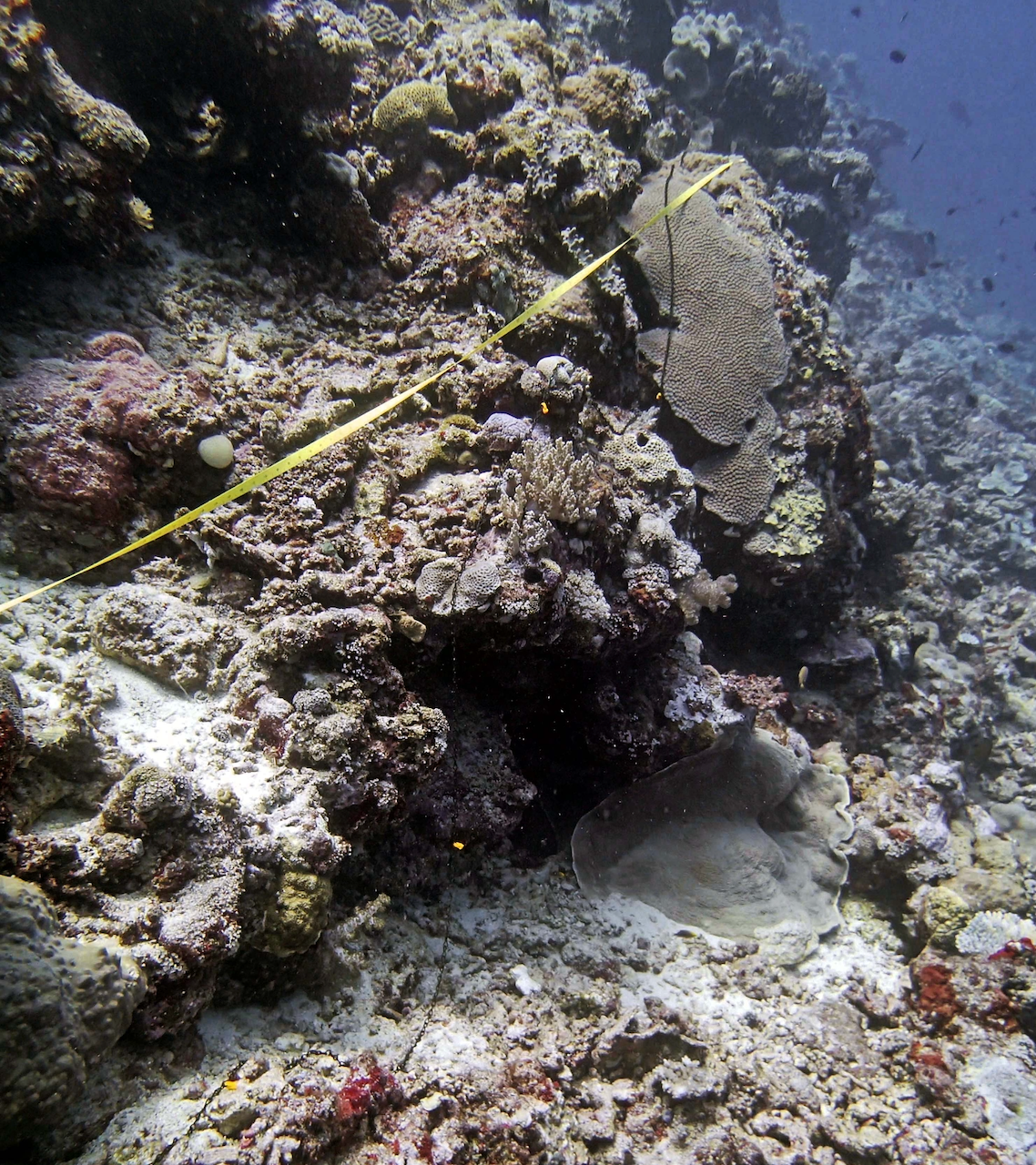 P9280052.png
