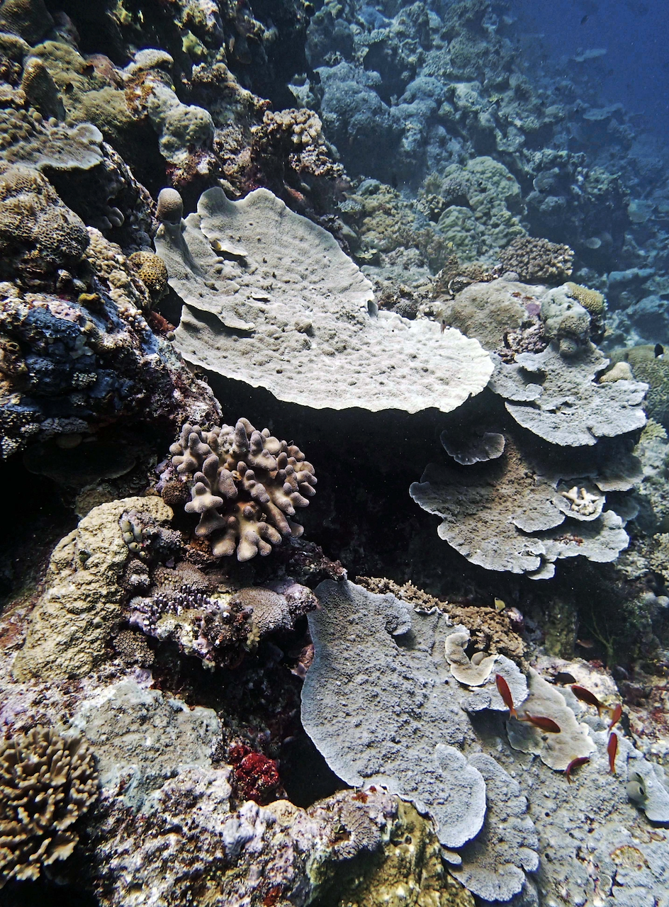 P9280064.png