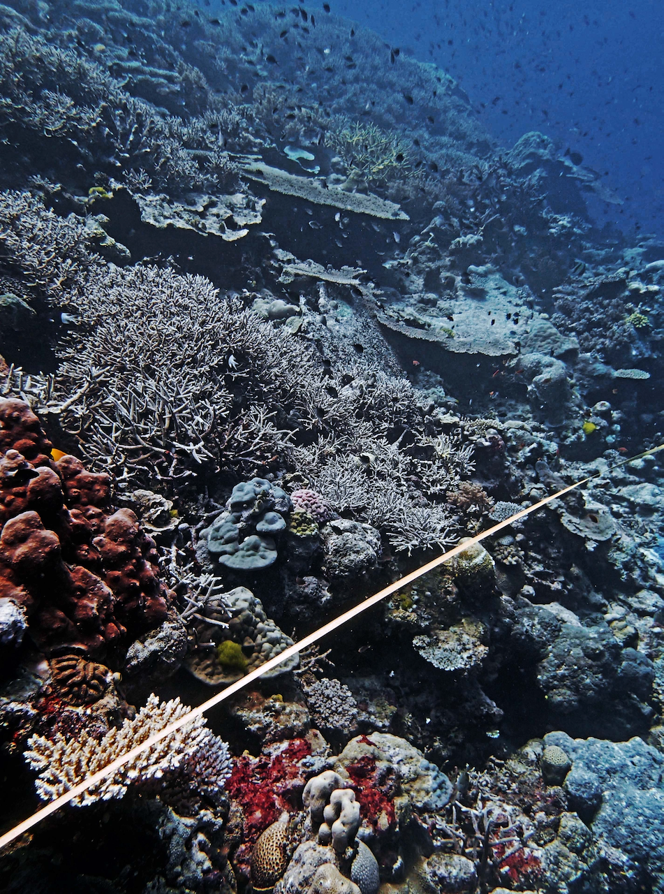 P9280065.png