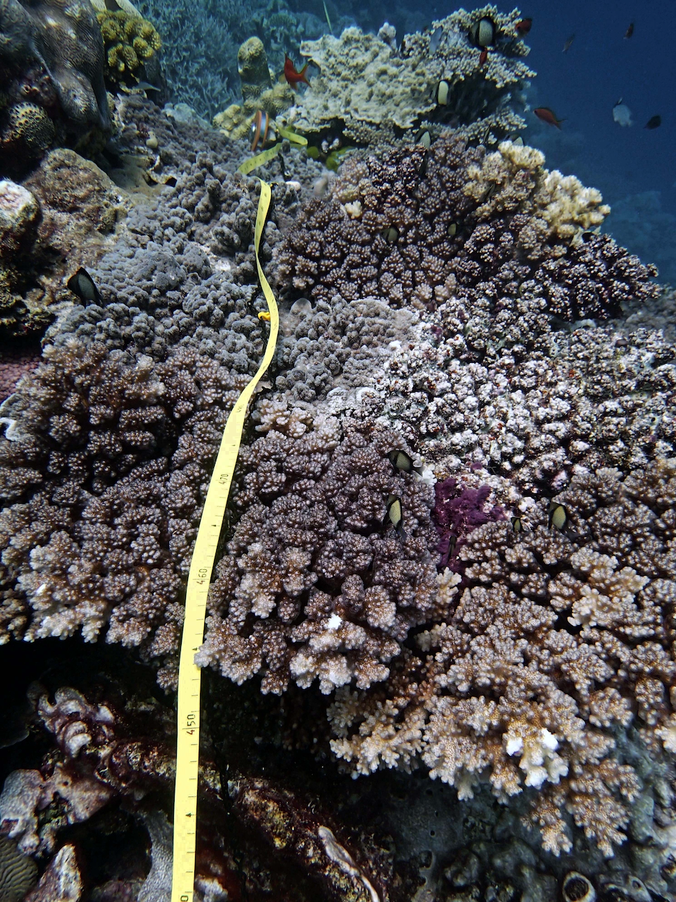 P9280068.png