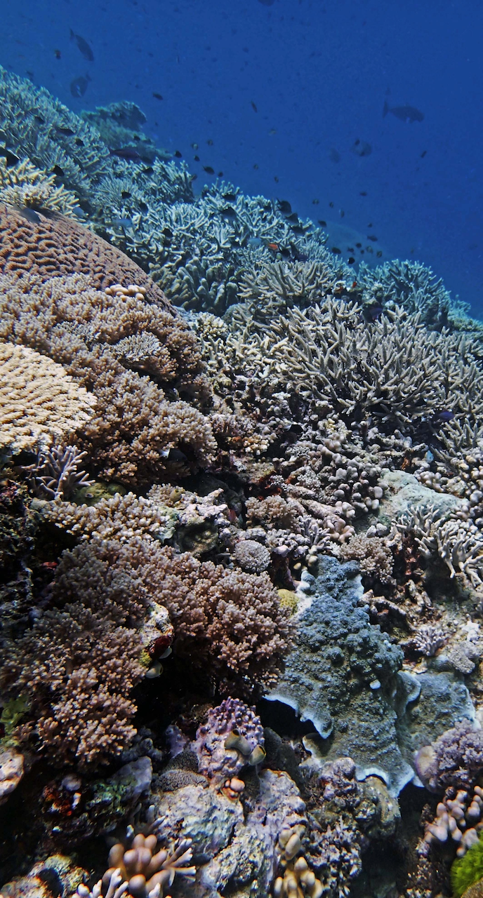 P9280077.png