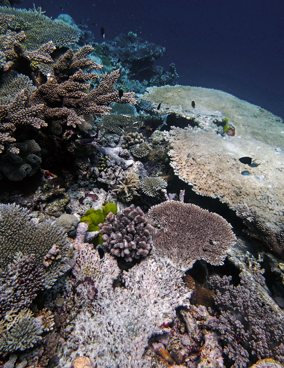 P9280078.png