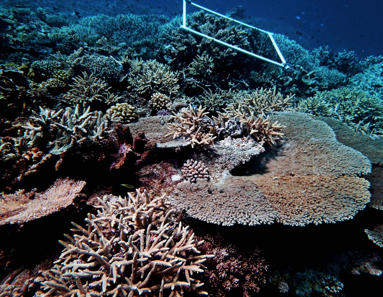 P9280081.png