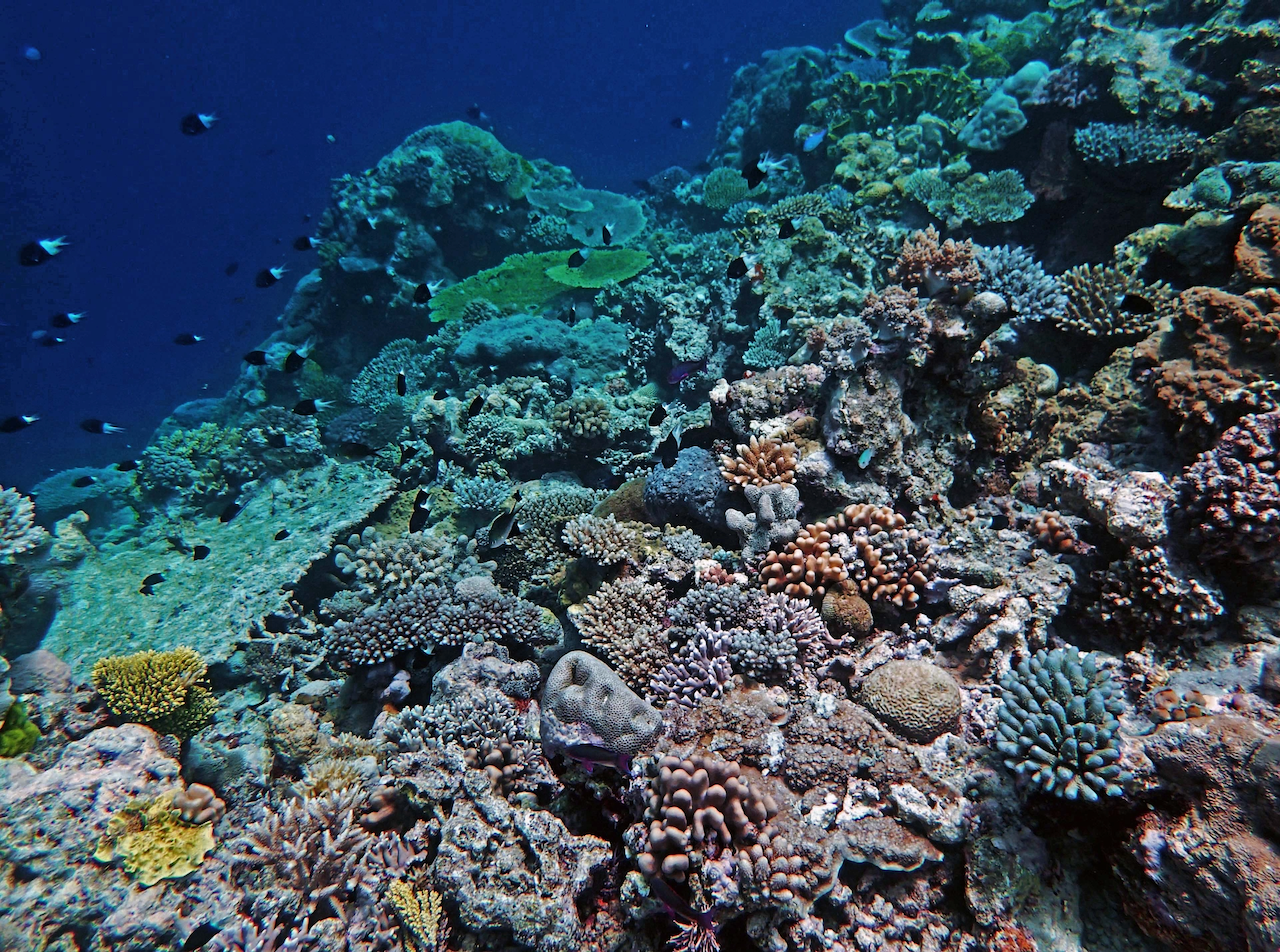 P9280082.png