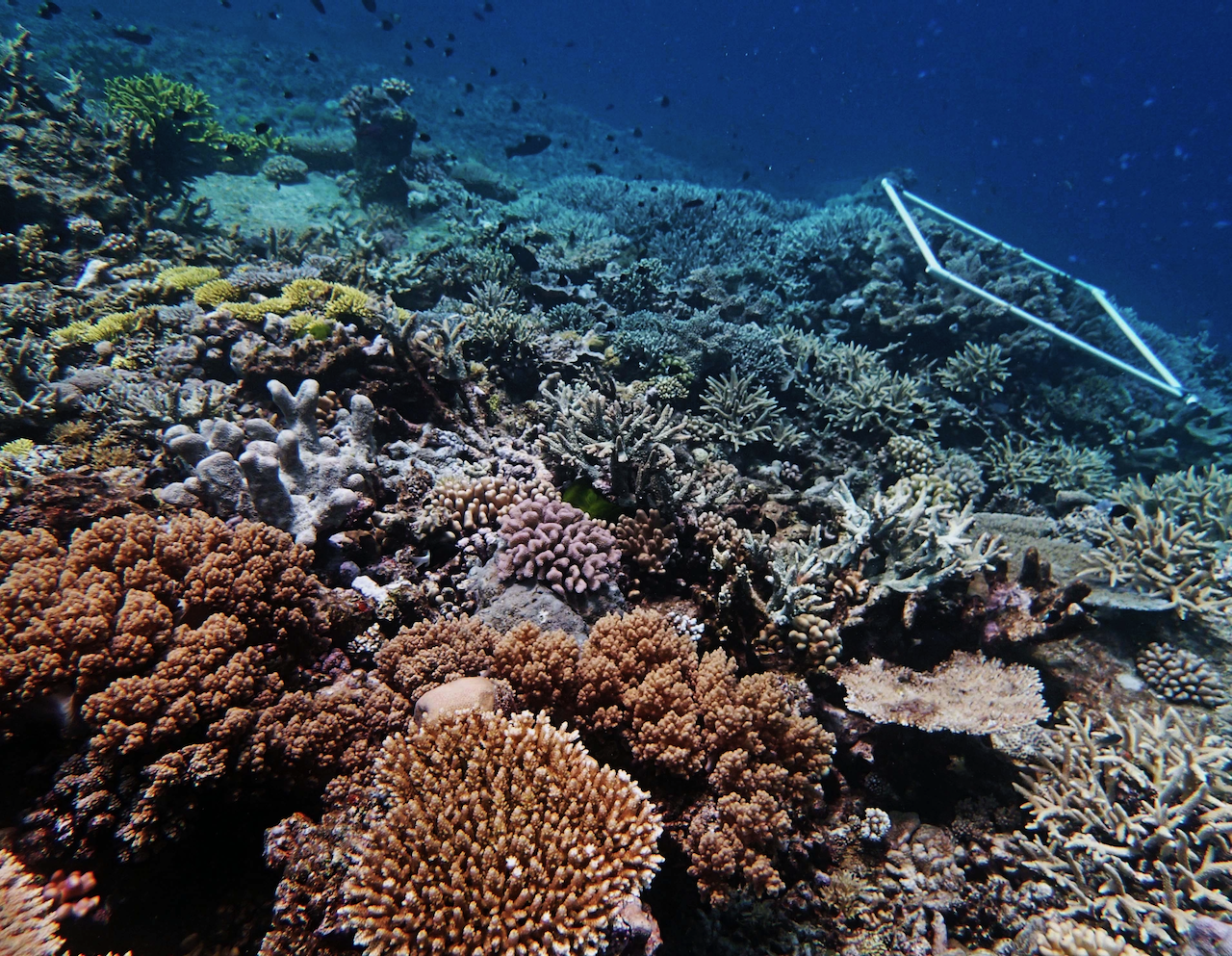 P9280084.png