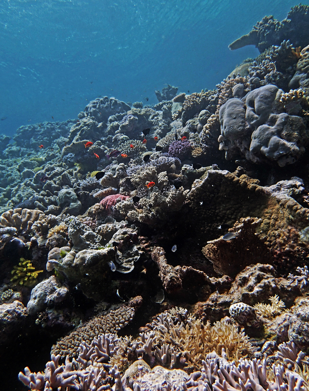 P9280085.png