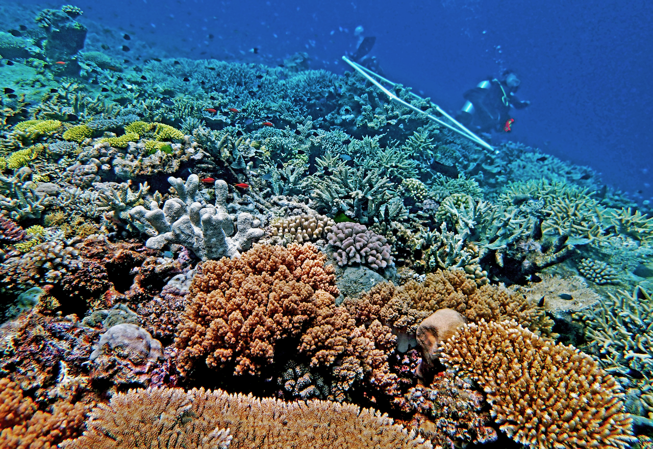 P9280086.png