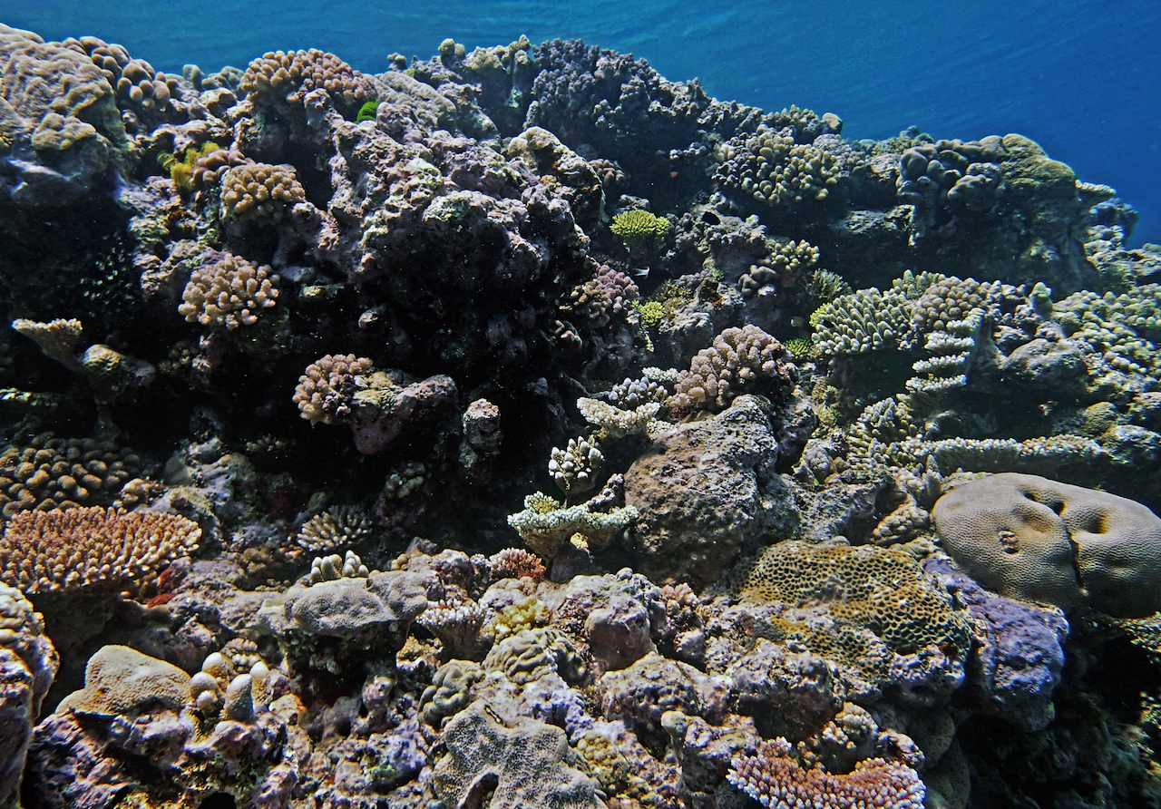 P9280090.png