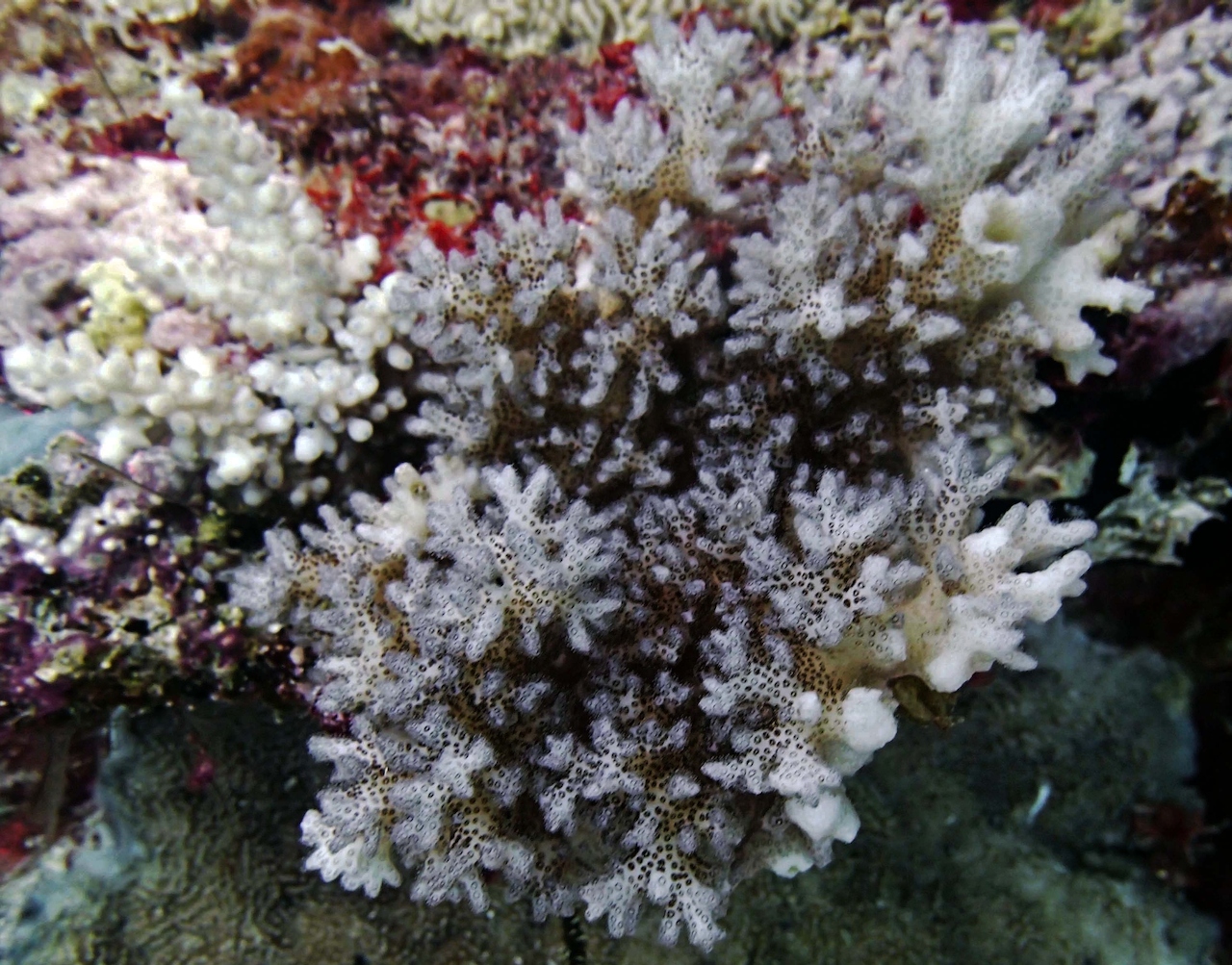 P9280003.png