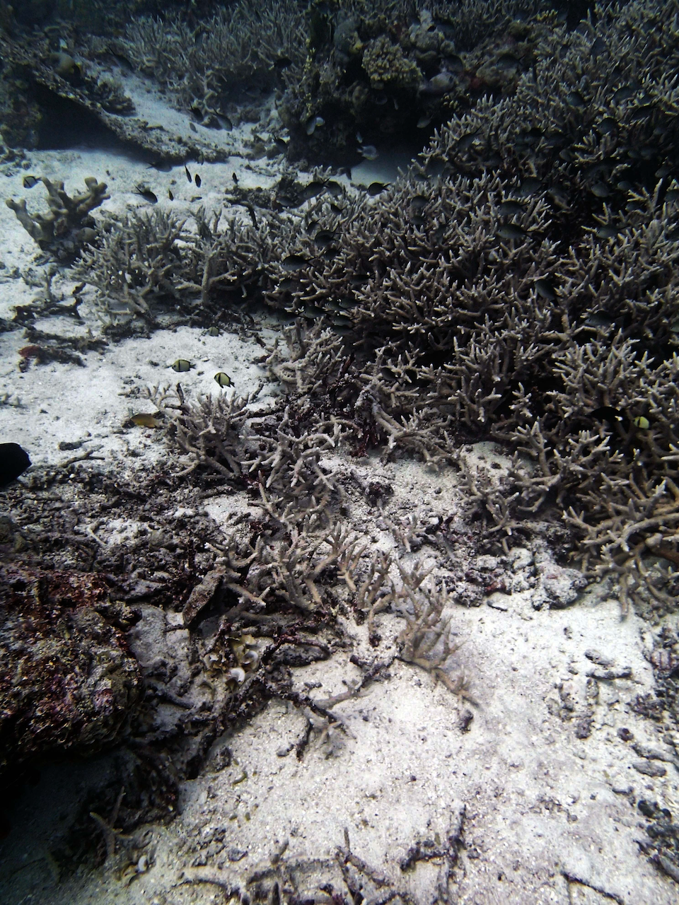 P9280006.png