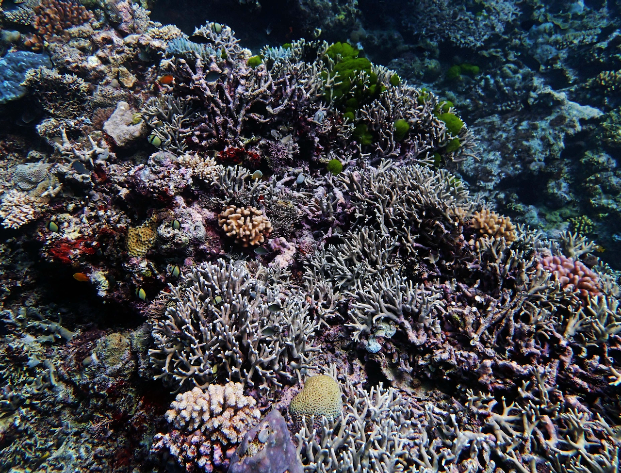 P9280009.png