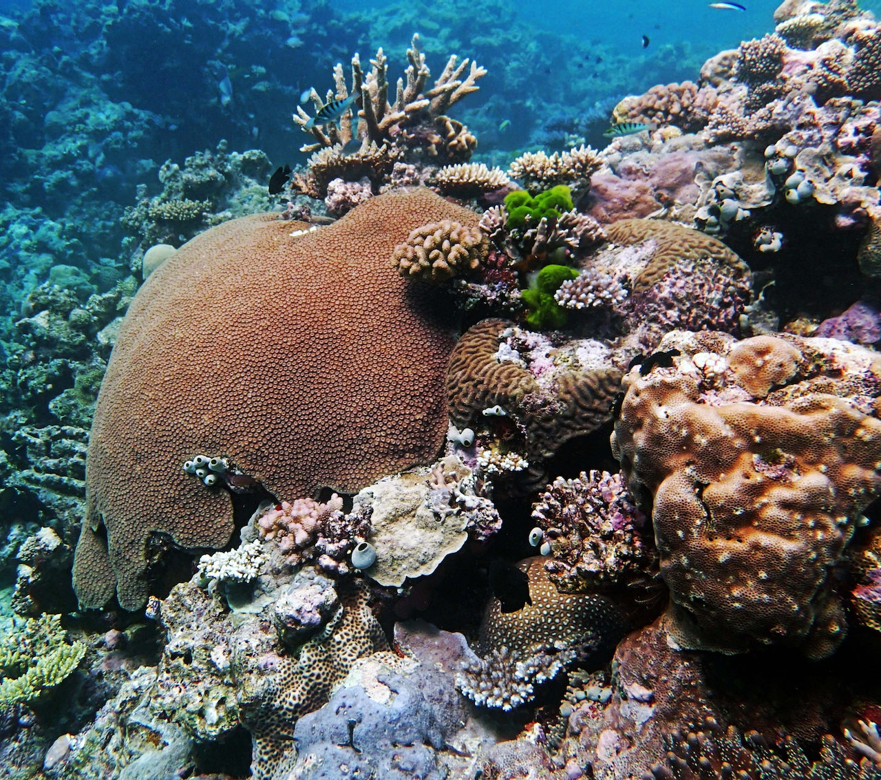 P9280011.png
