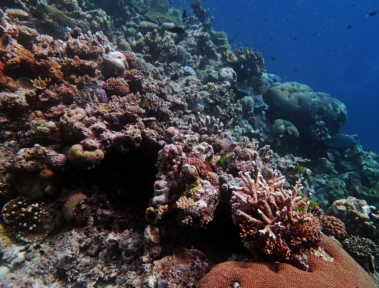 P9280014.png