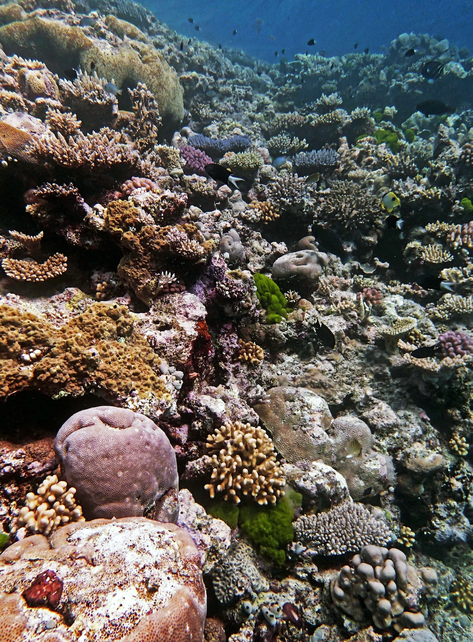 P9280015.png