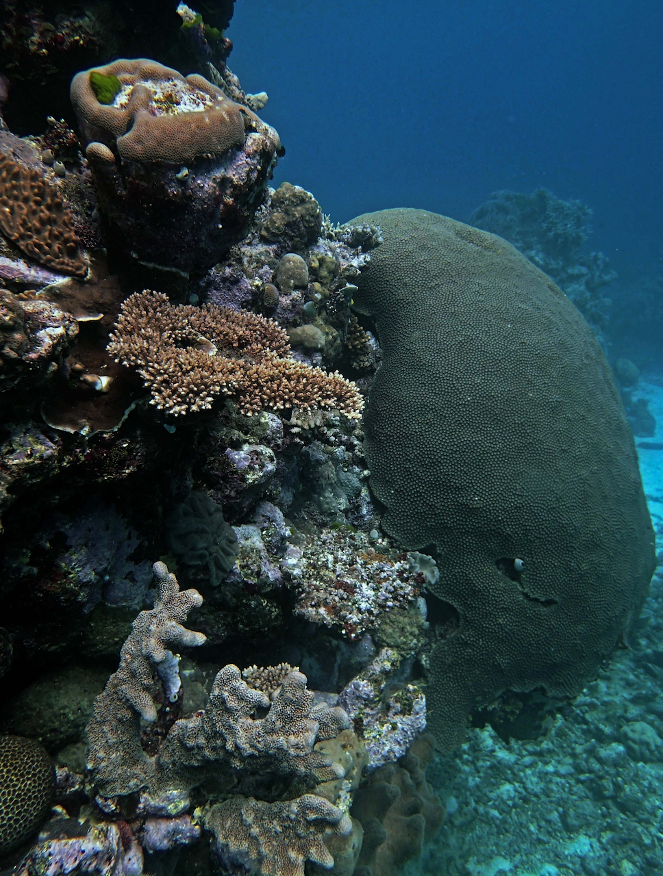 P9280017.png