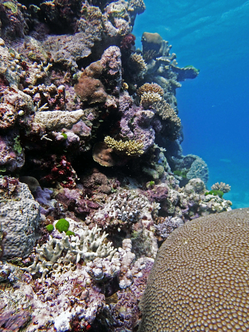 P9280018.png