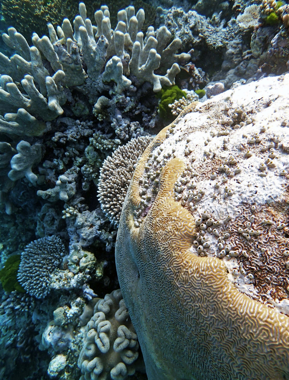 P9280020.png