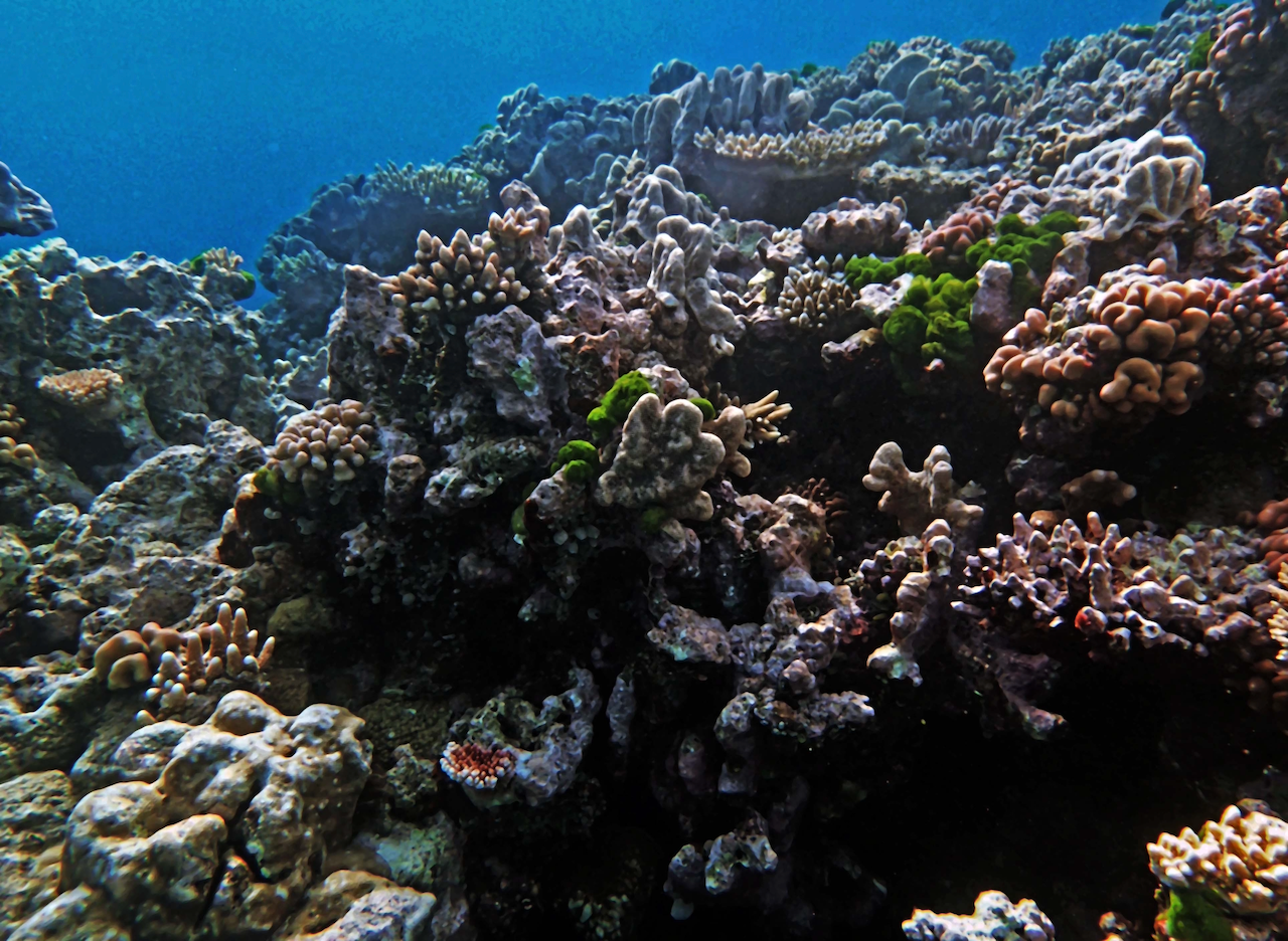 P9280021.png