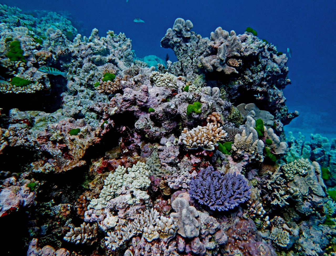 P9280024.png