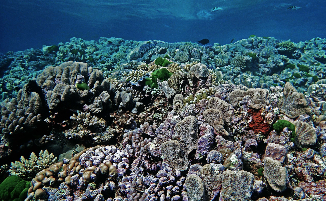 P9280025.png