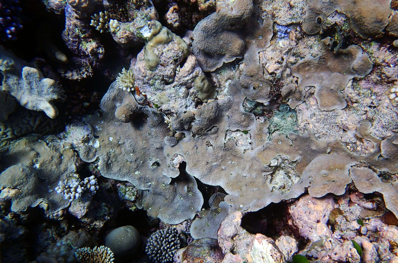 P9280027.png