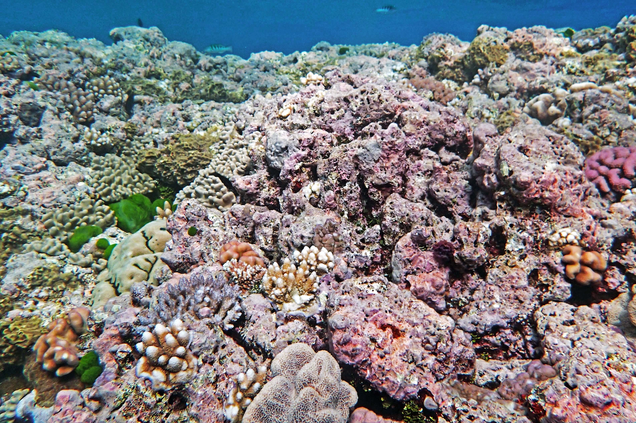 P9280031.png