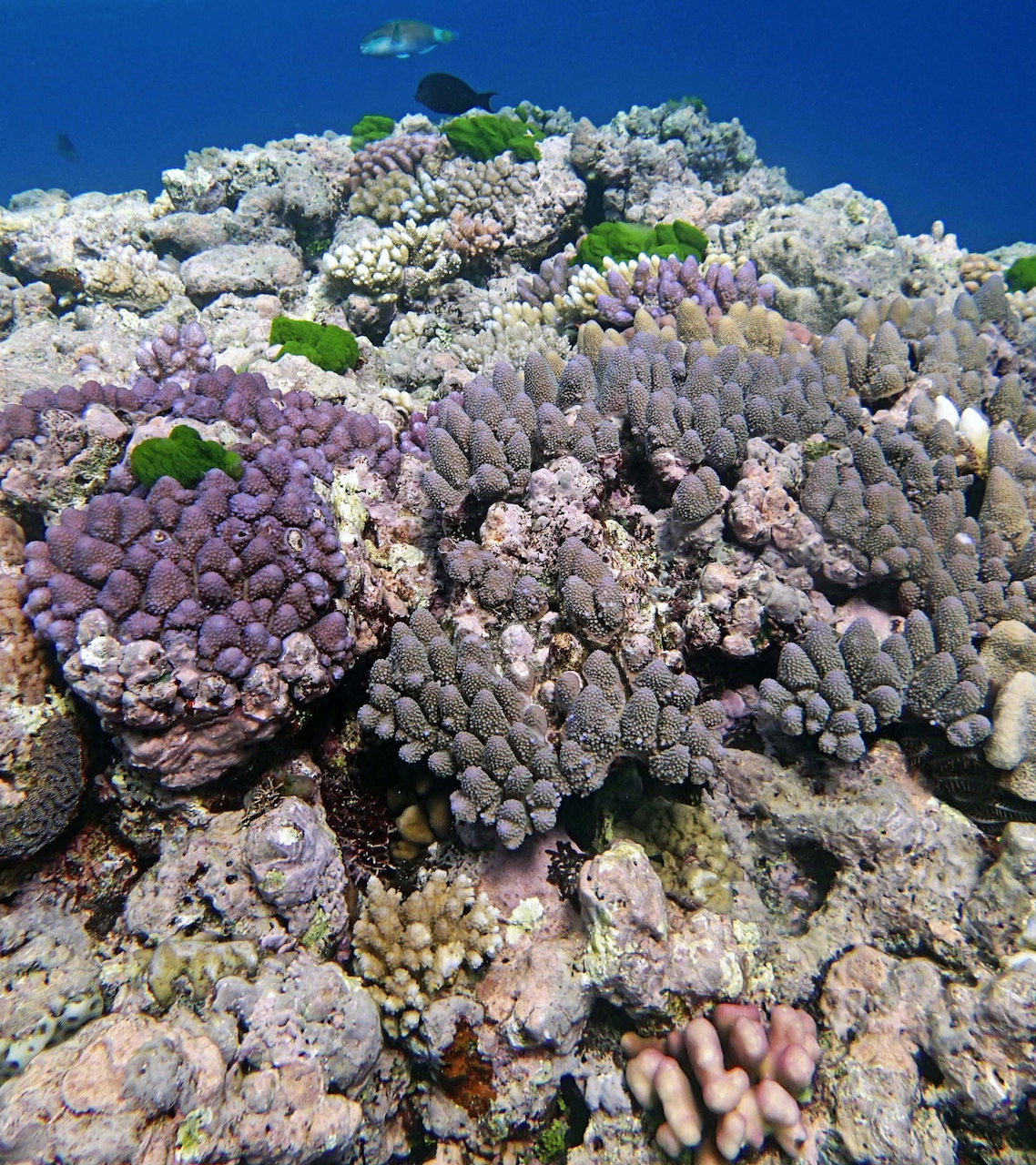 P9280032.png