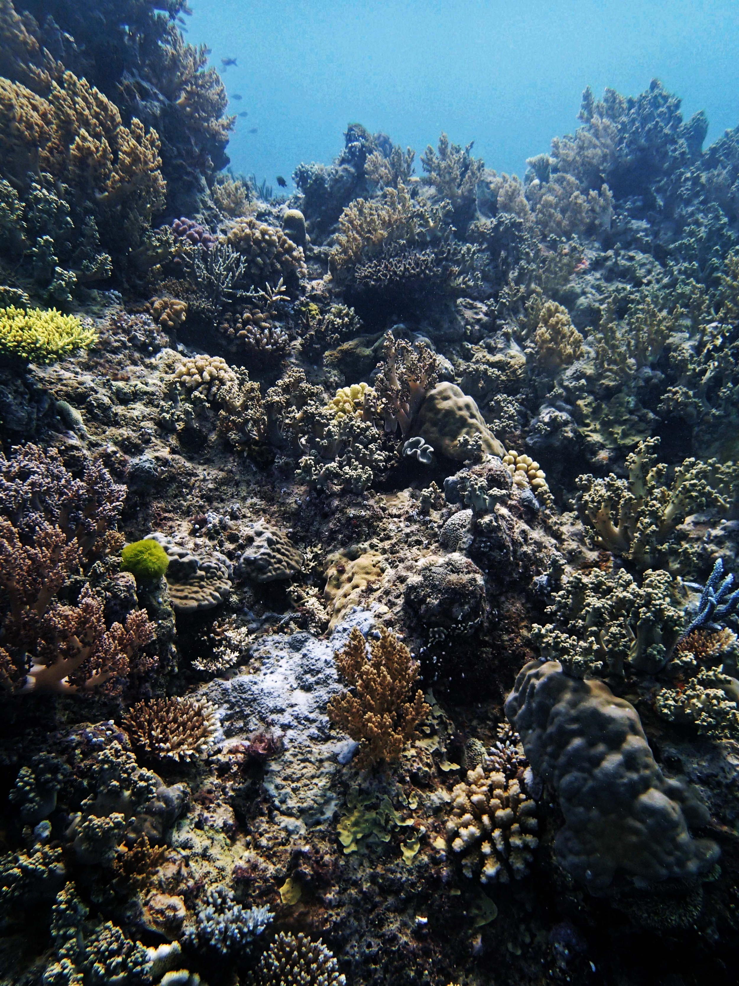 P9290026.png