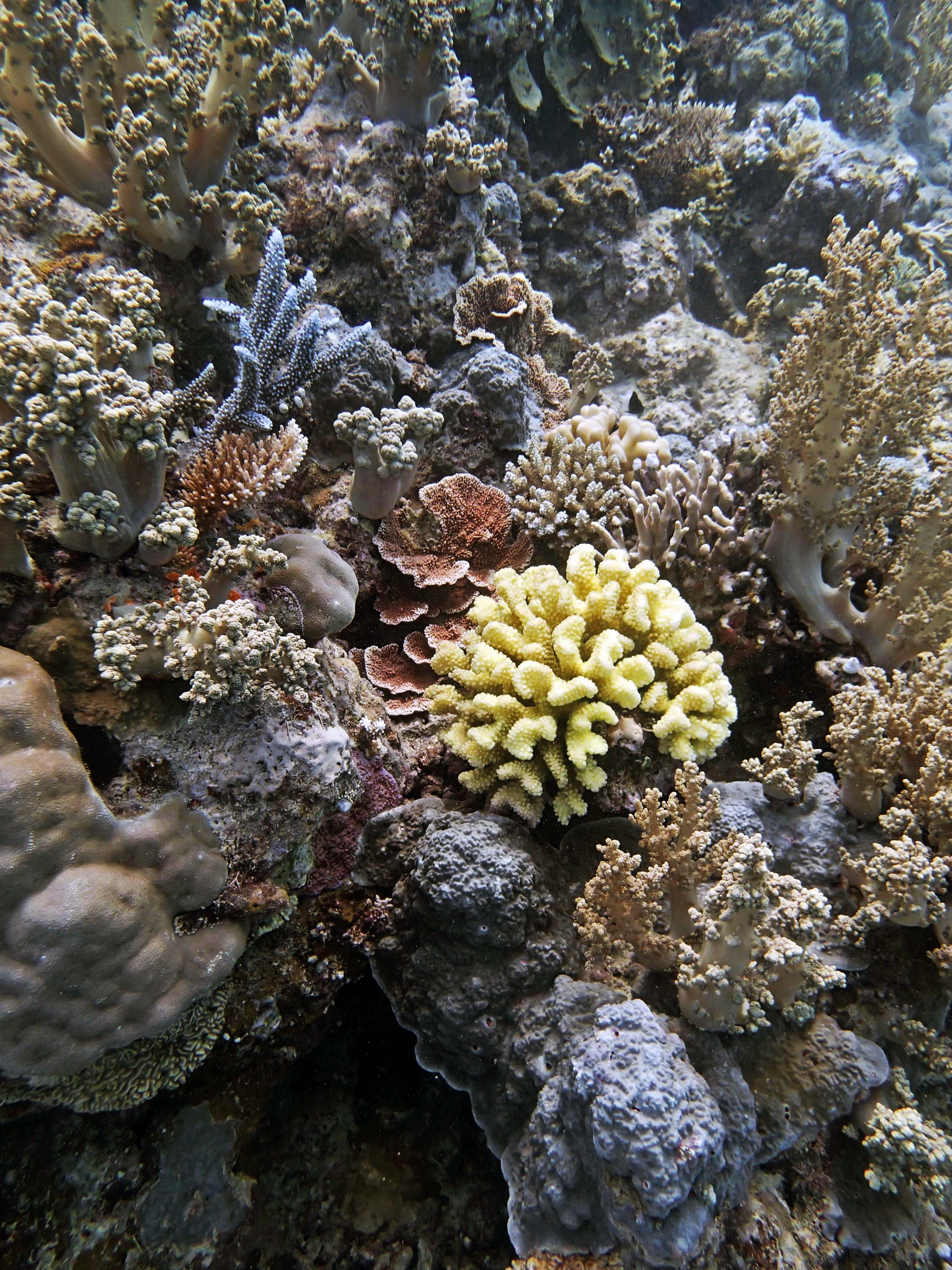 P9290027.png