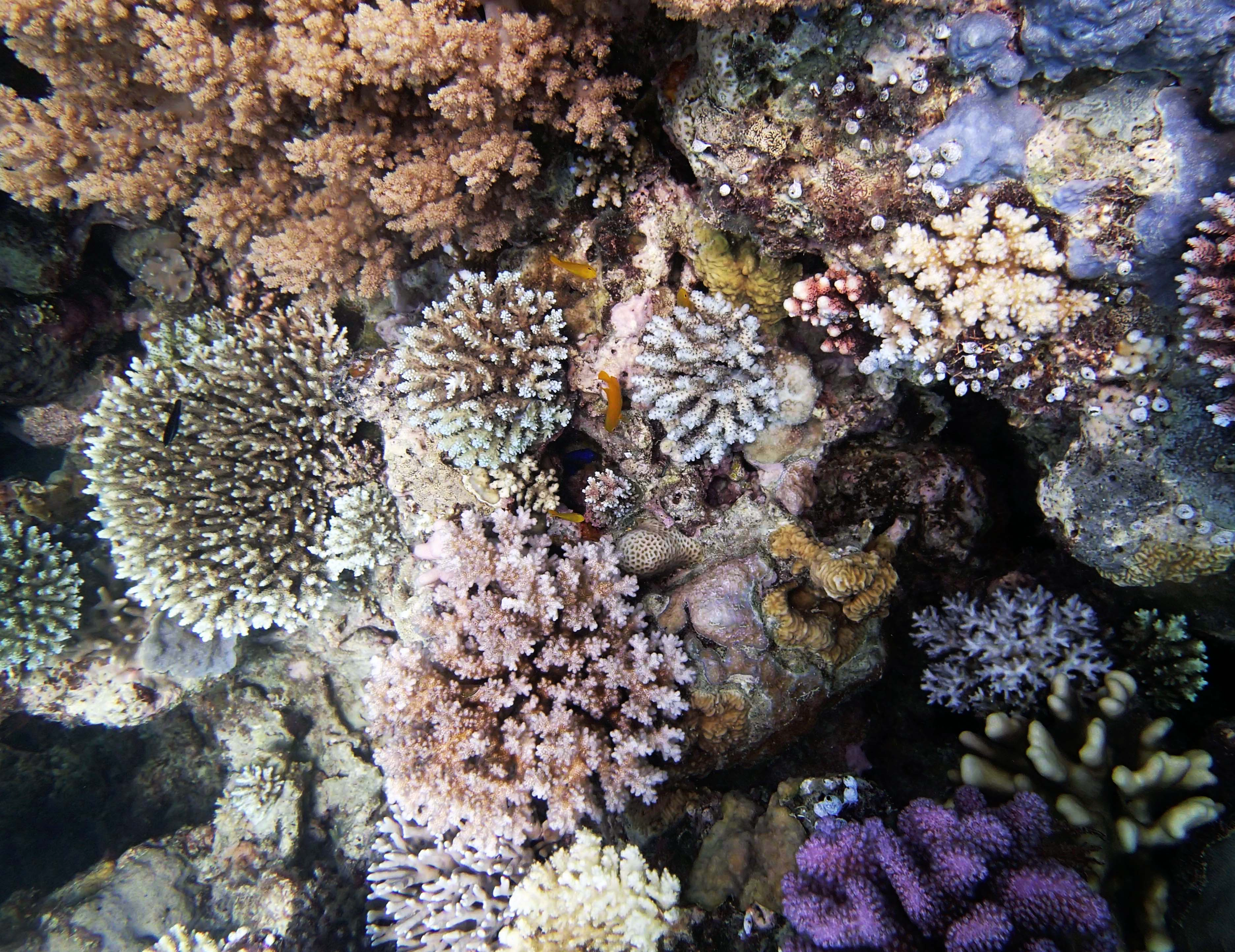 P9290033.png
