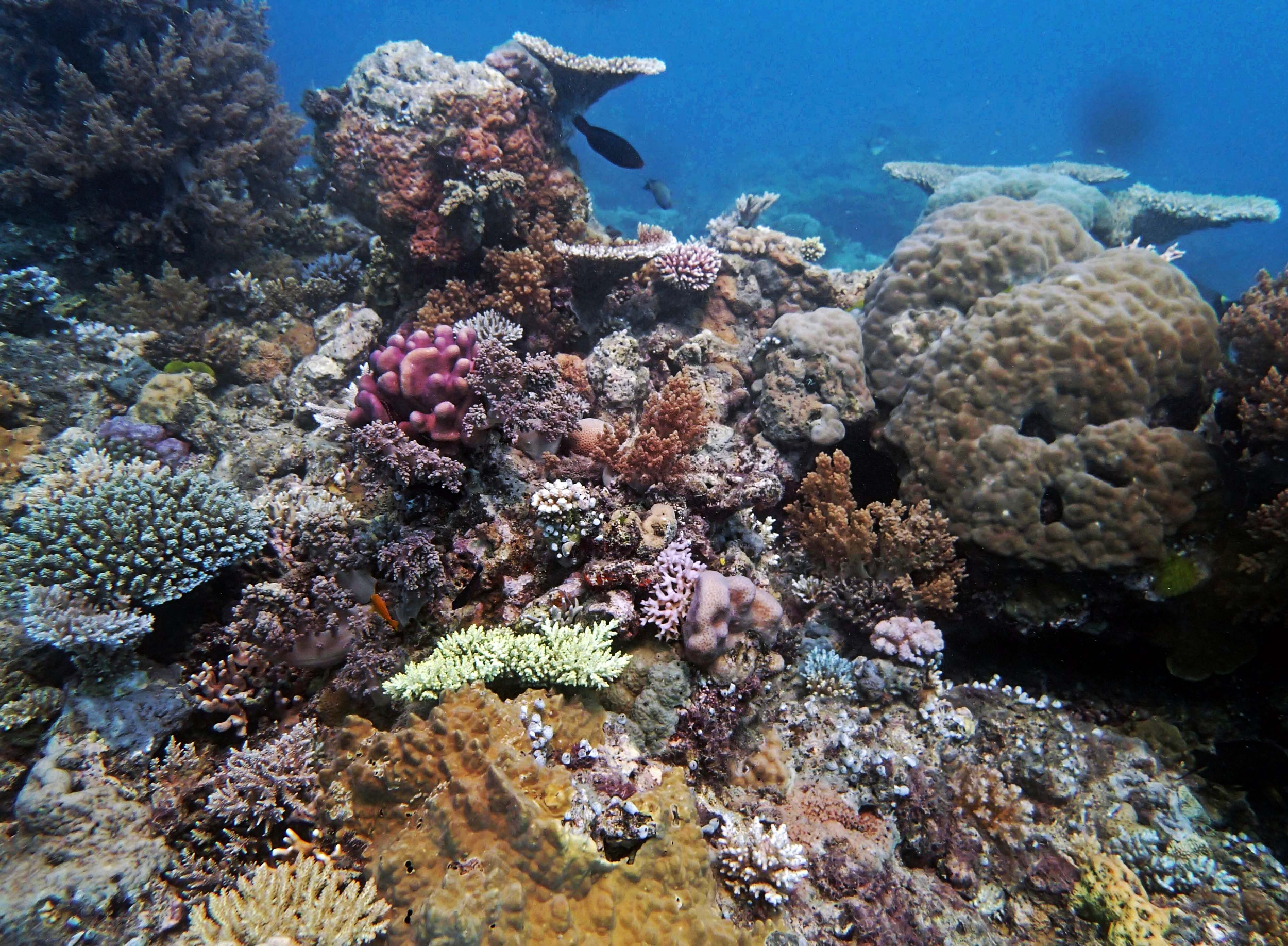 P9290034.png
