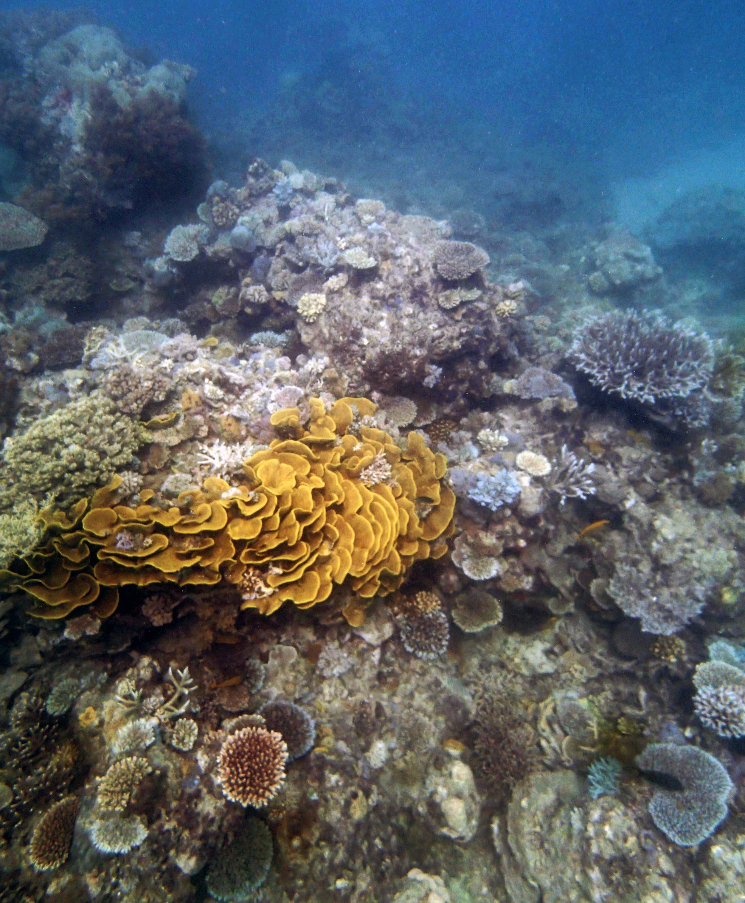 P9290037.png