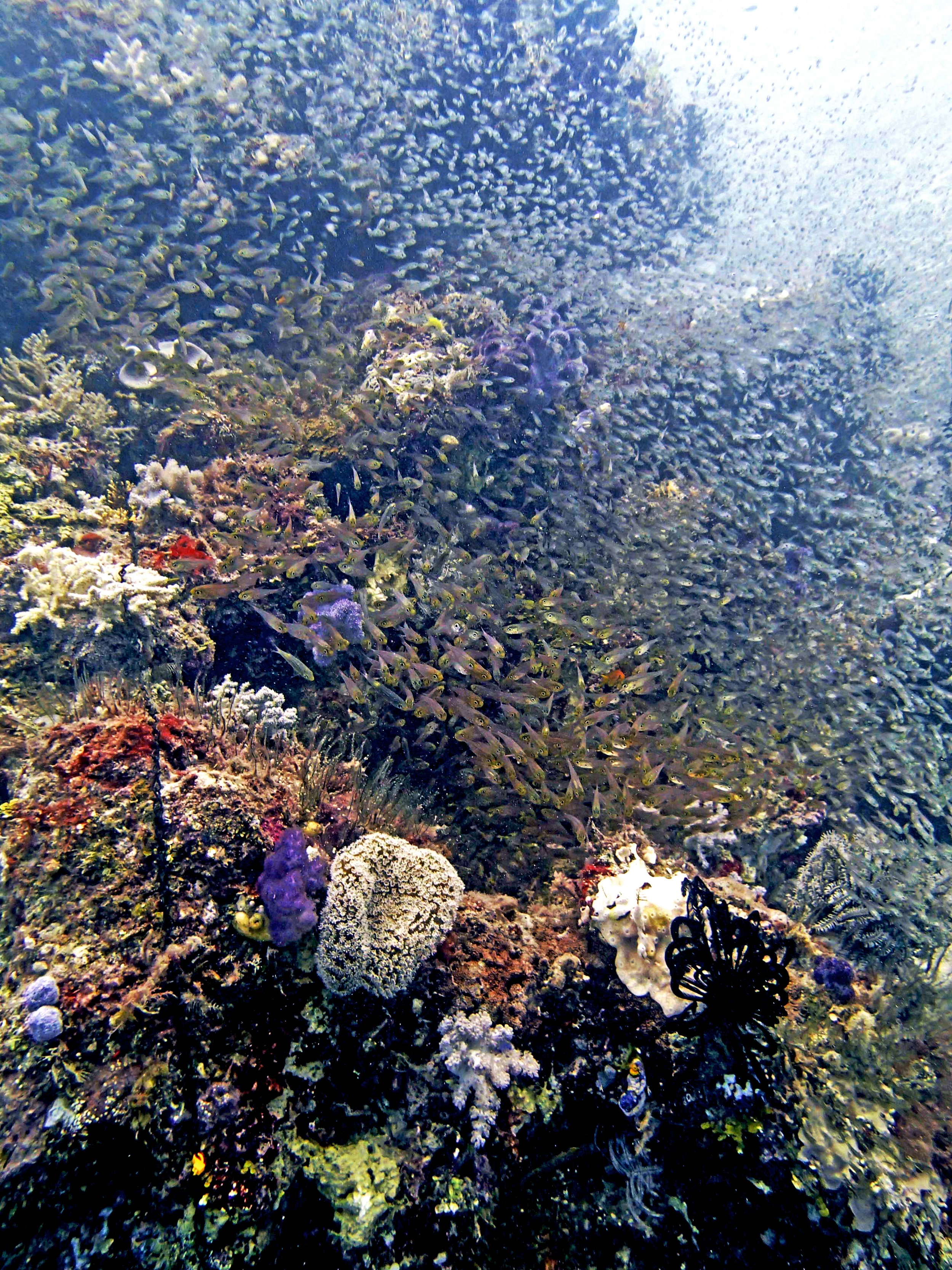 P9290038.png