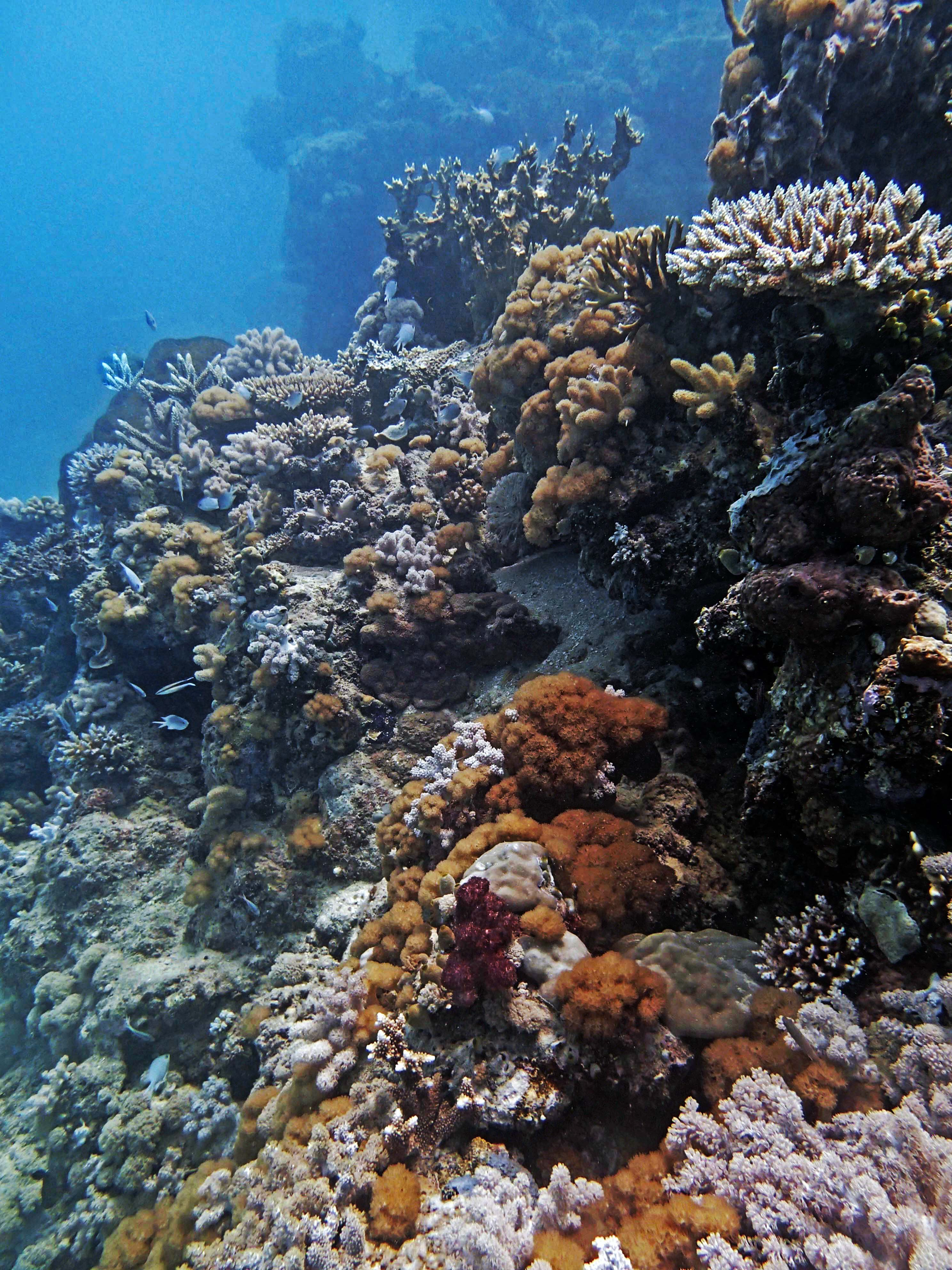 P9290057.png
