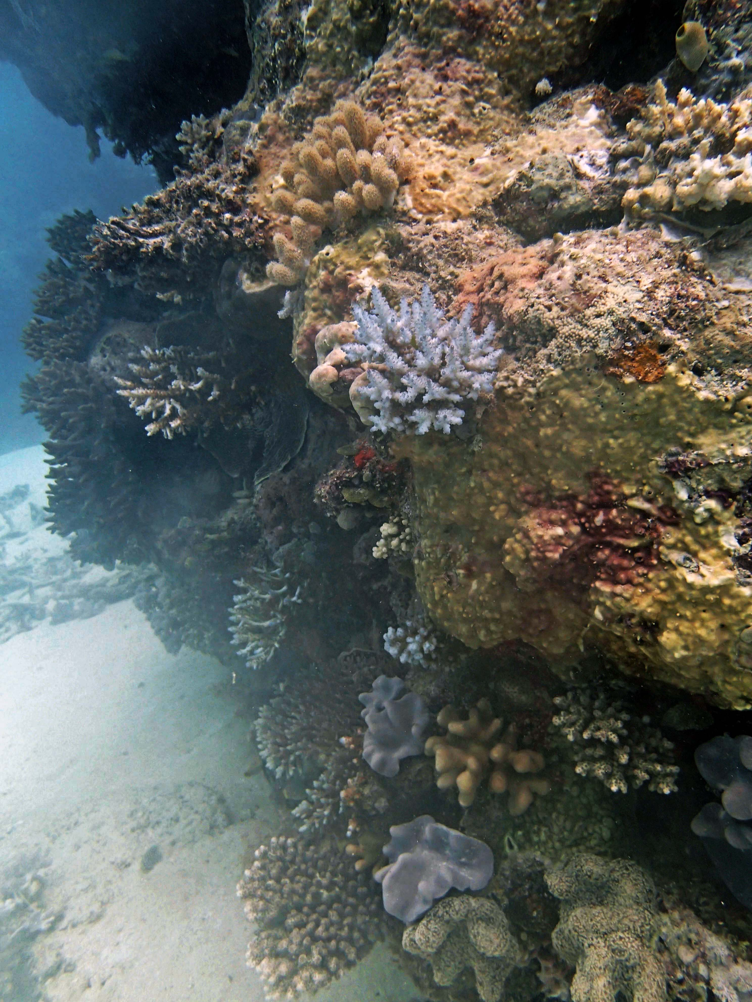 P9290065.png