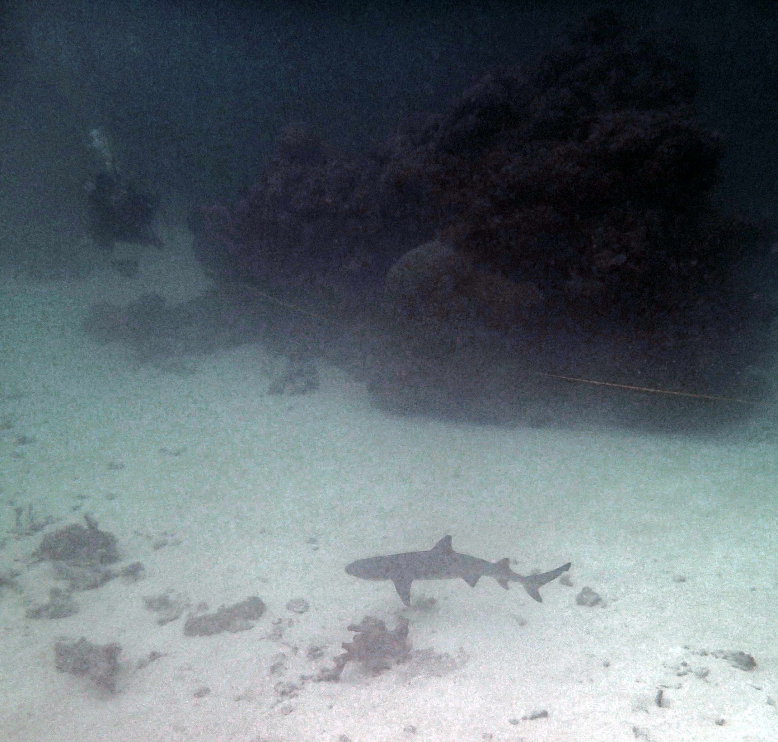 P9290074.png