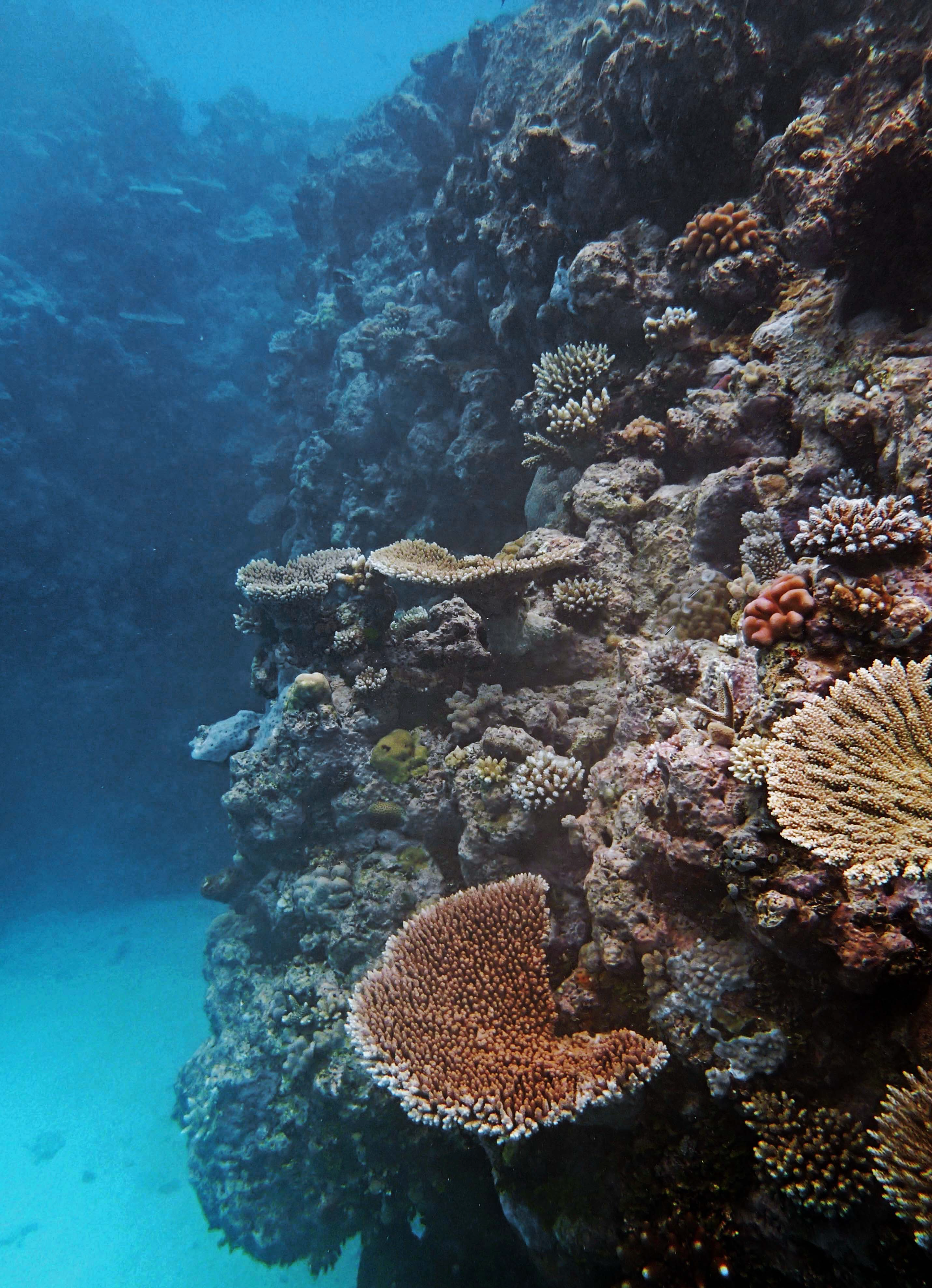 P9290076.png