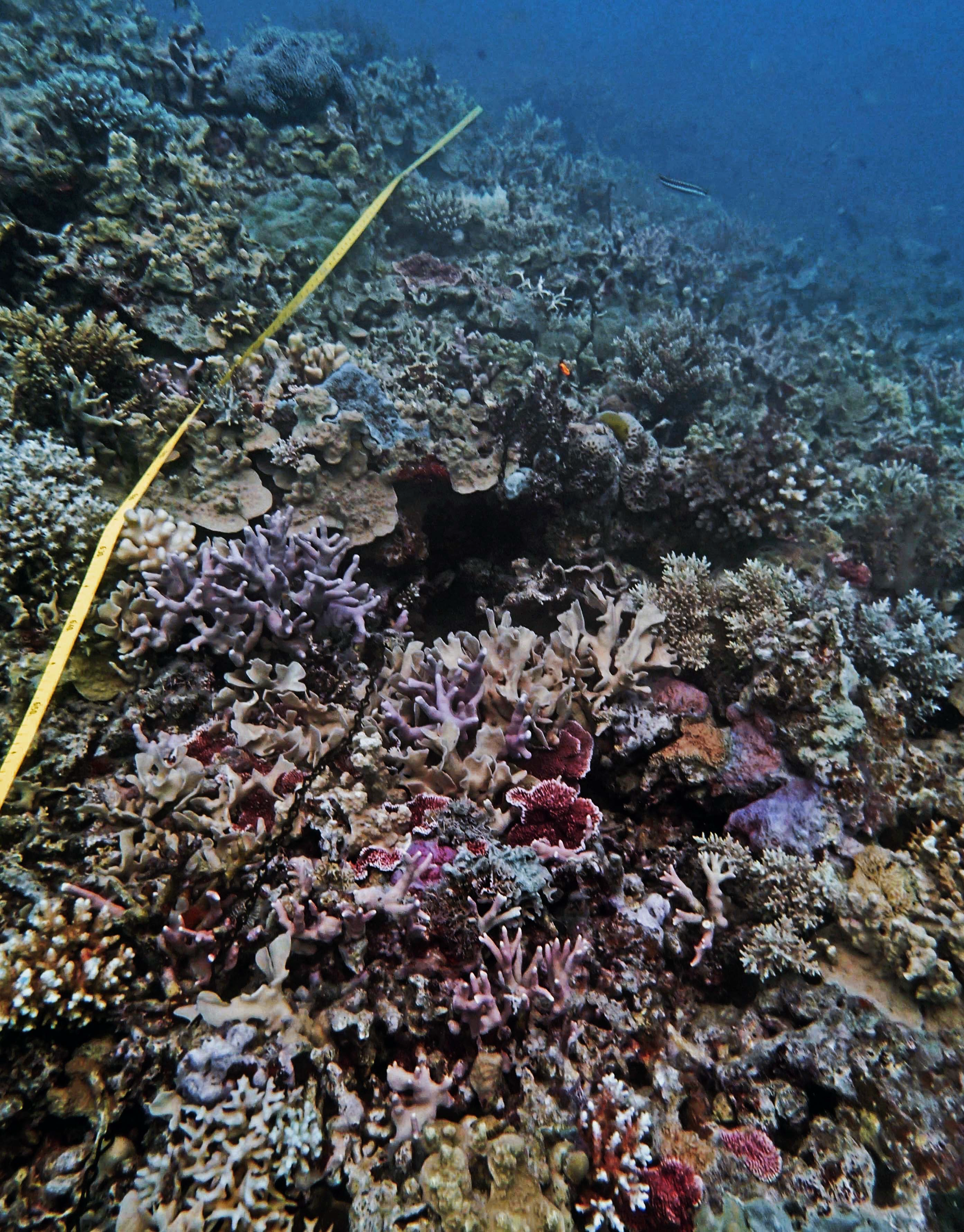 P9290090.png