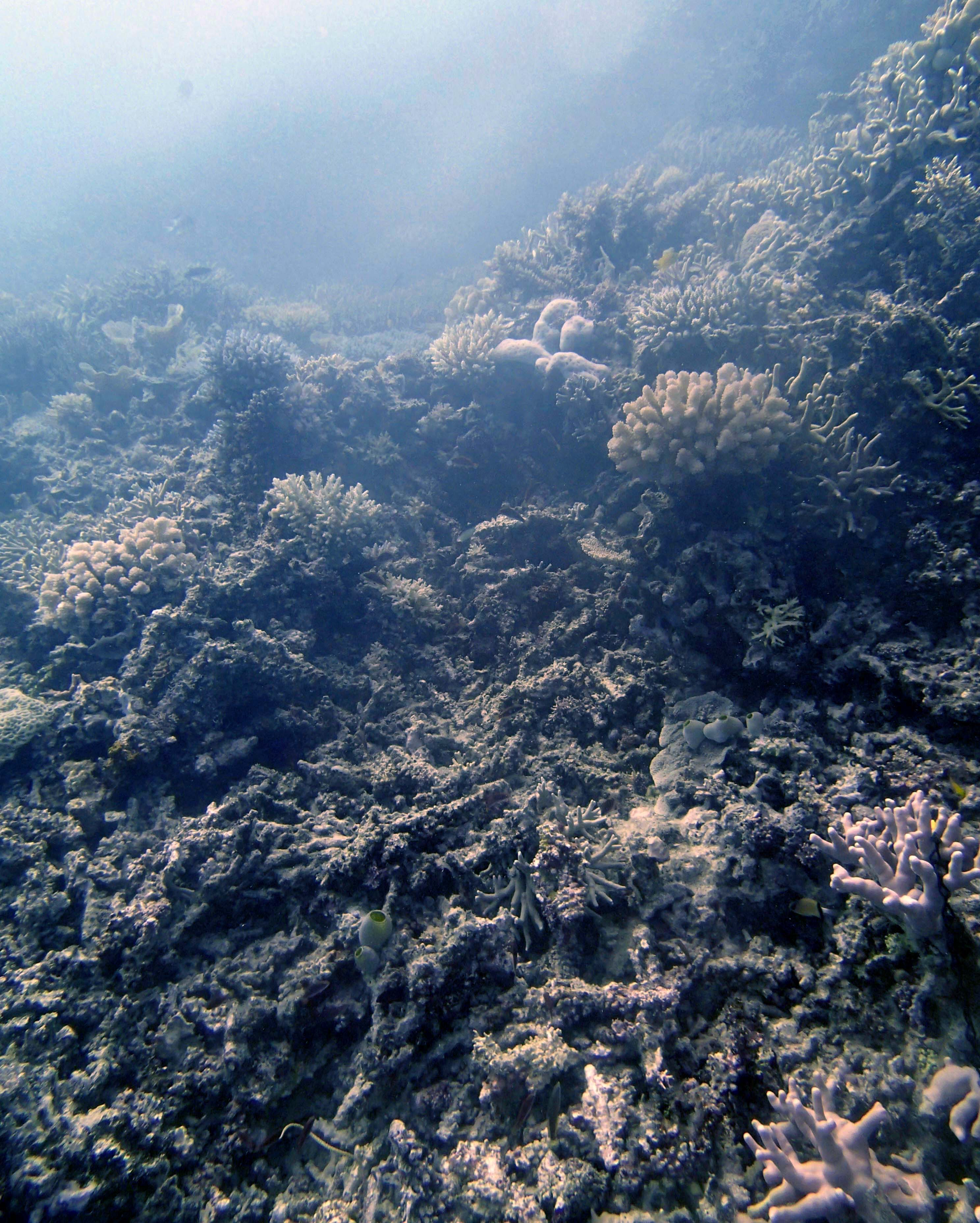 P9290103.png