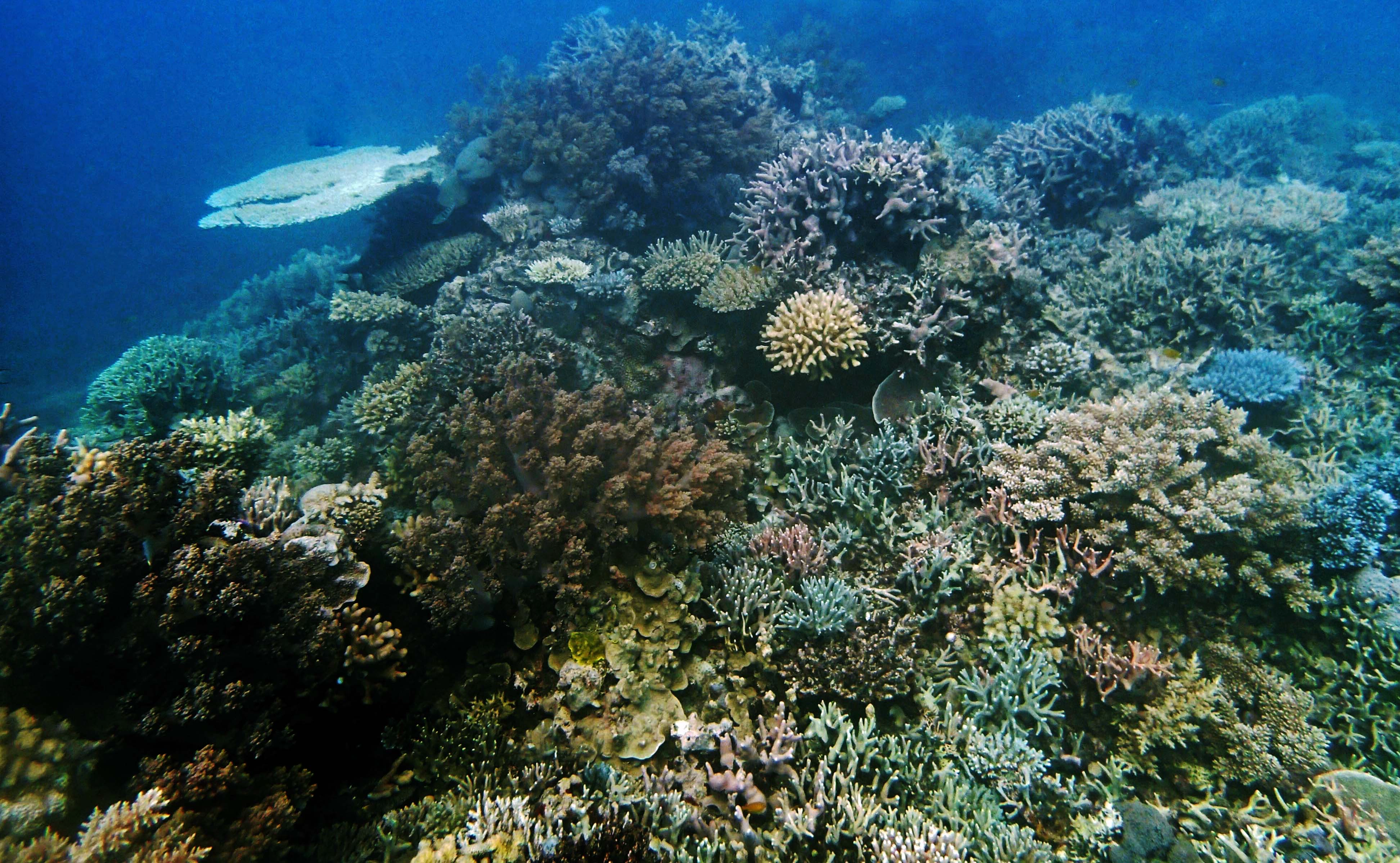 P9290109.png