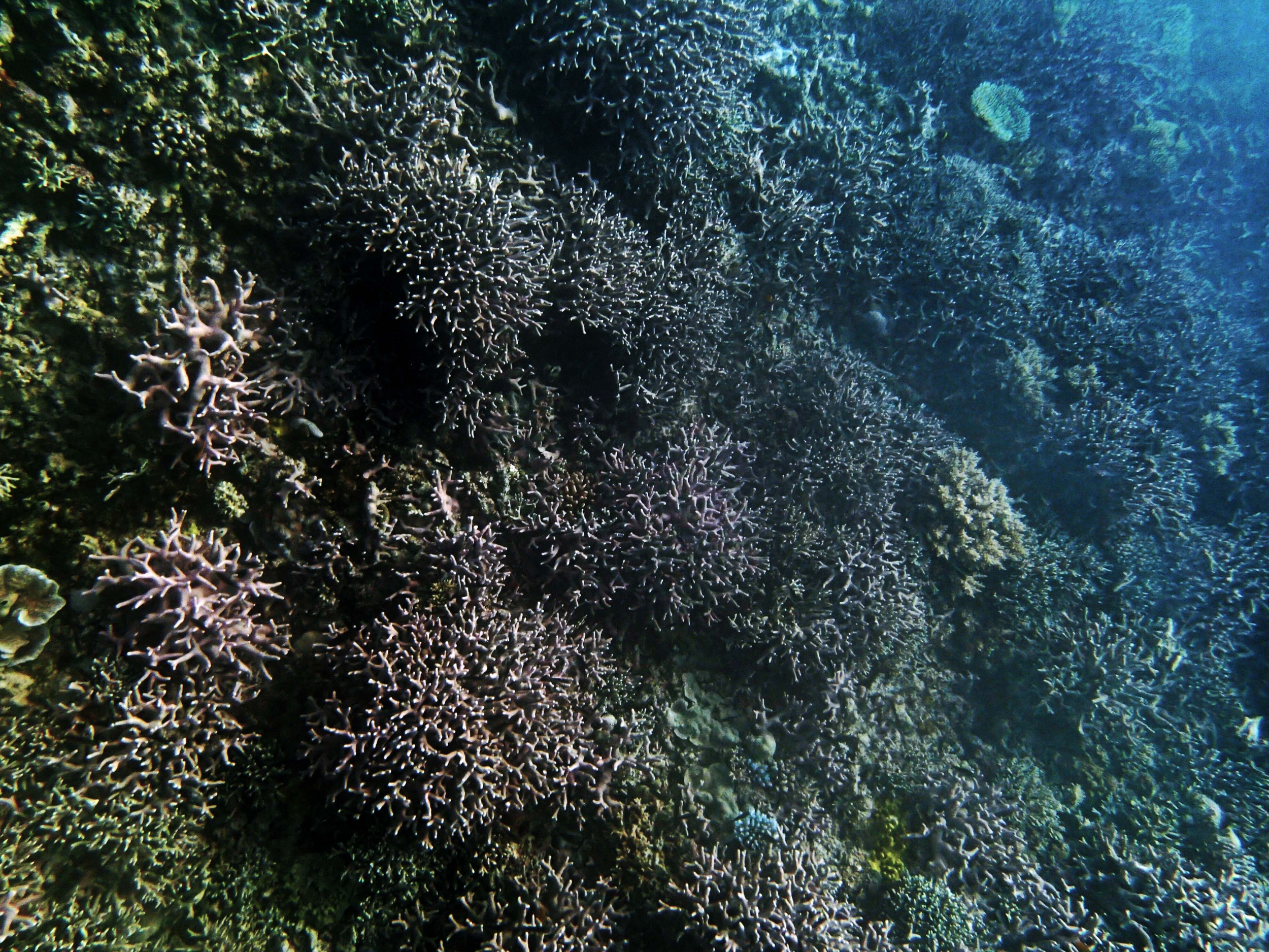 P9290110.png