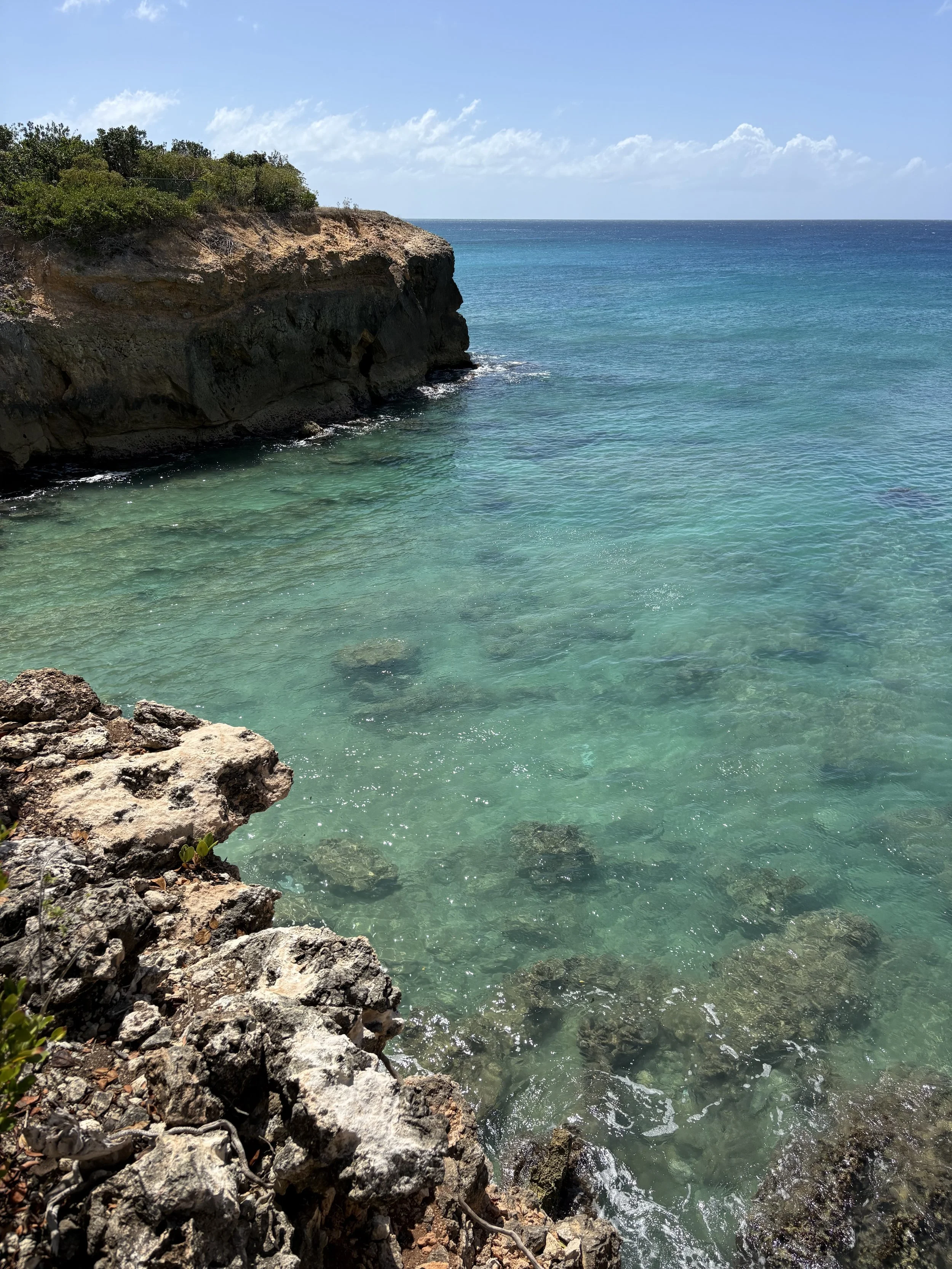 Anguilla coral reef surveys