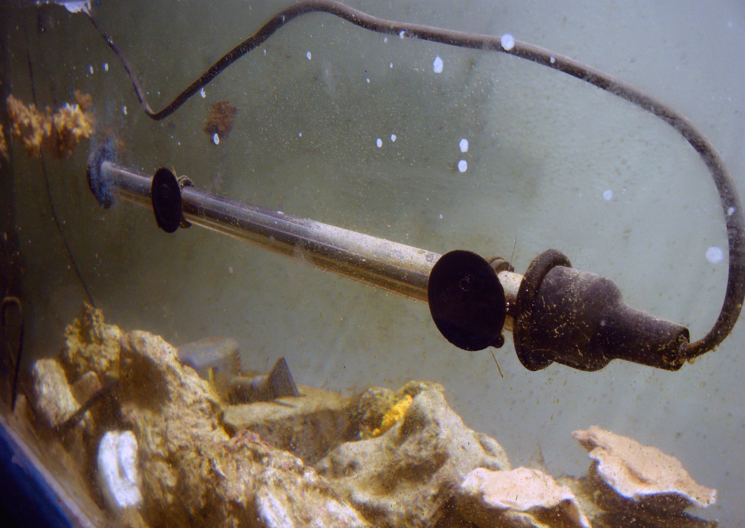 tank 5 from window.jpg
