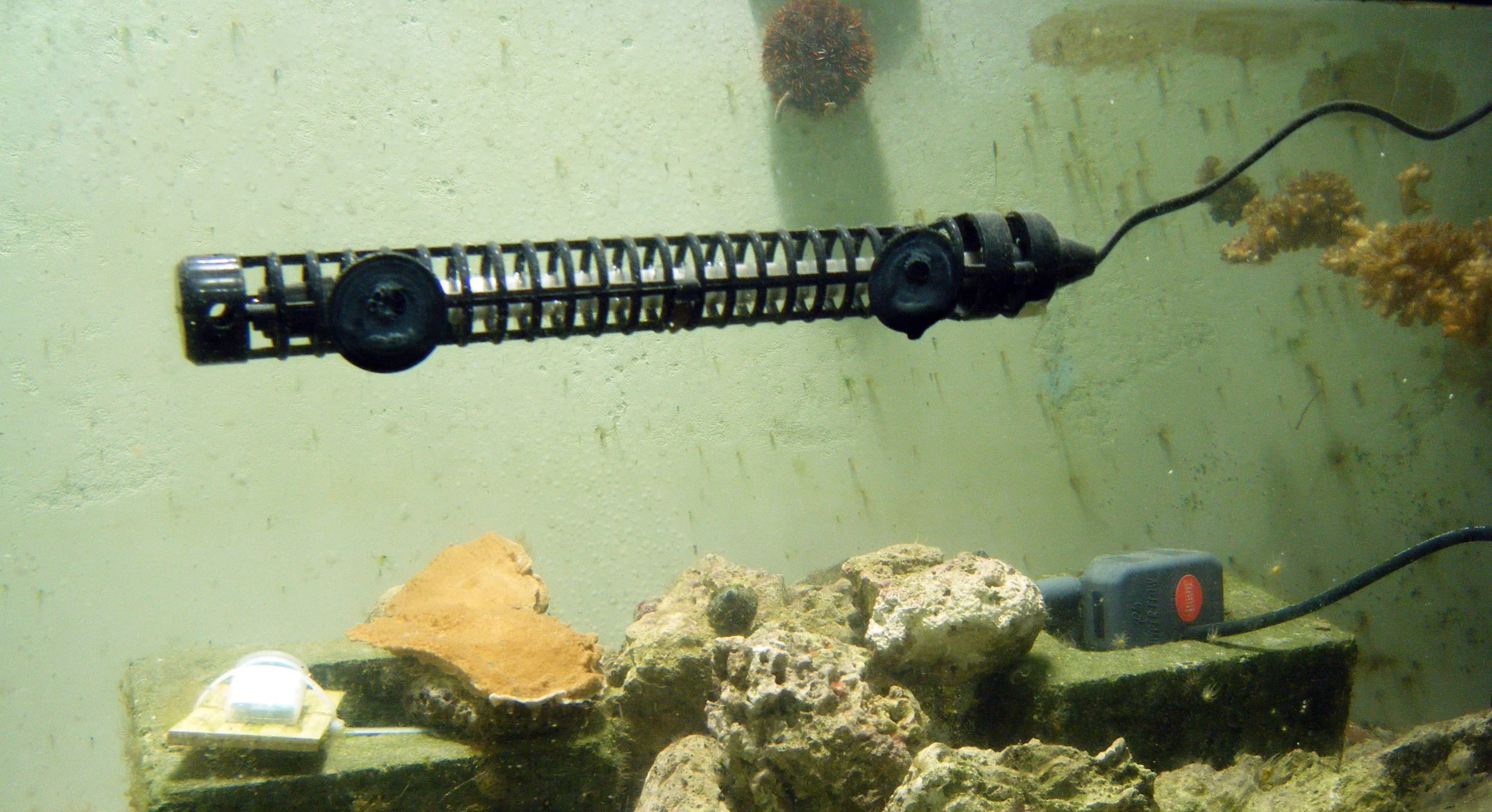 tank 6.jpg