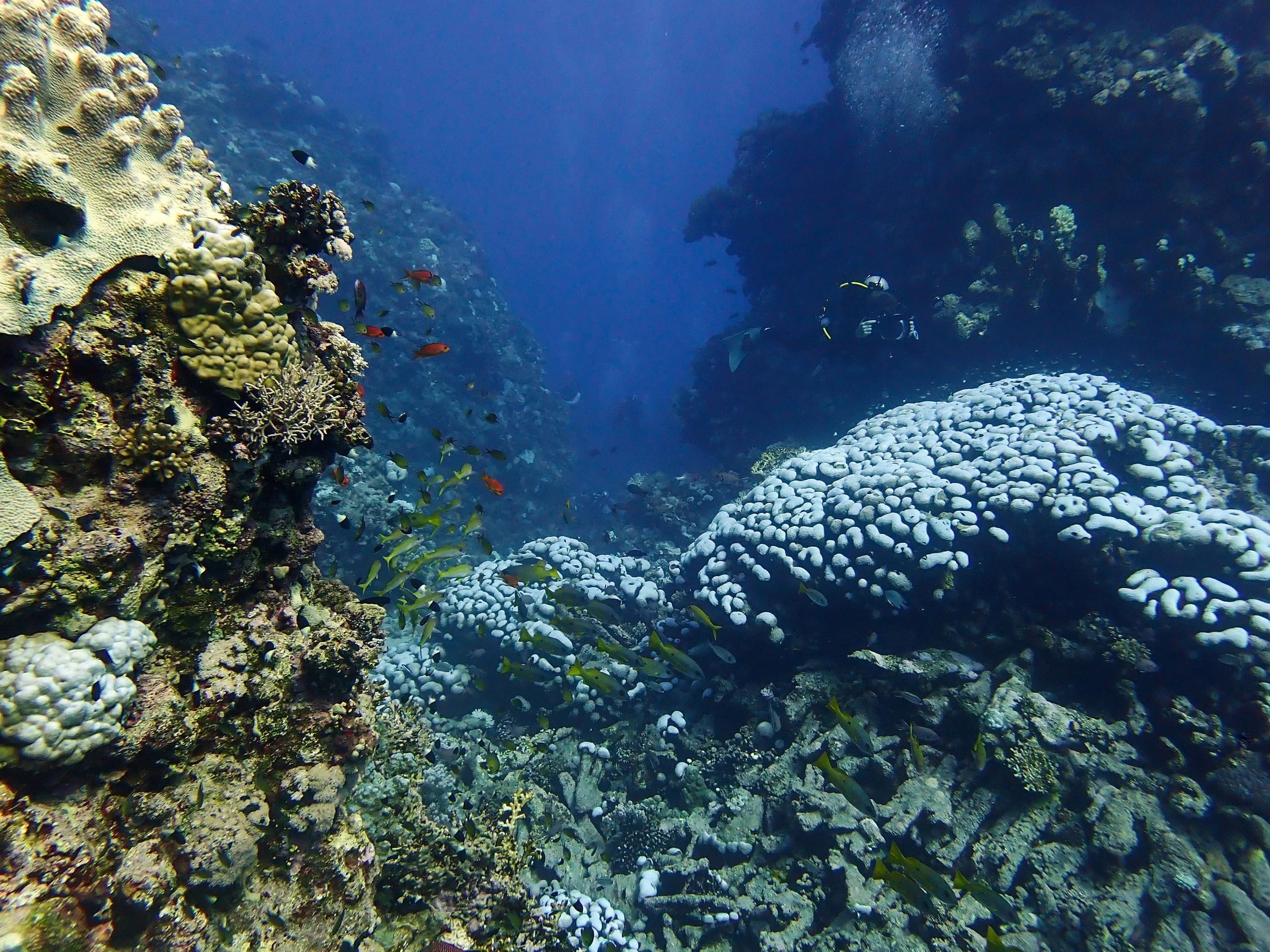P9215219-edited.jpg